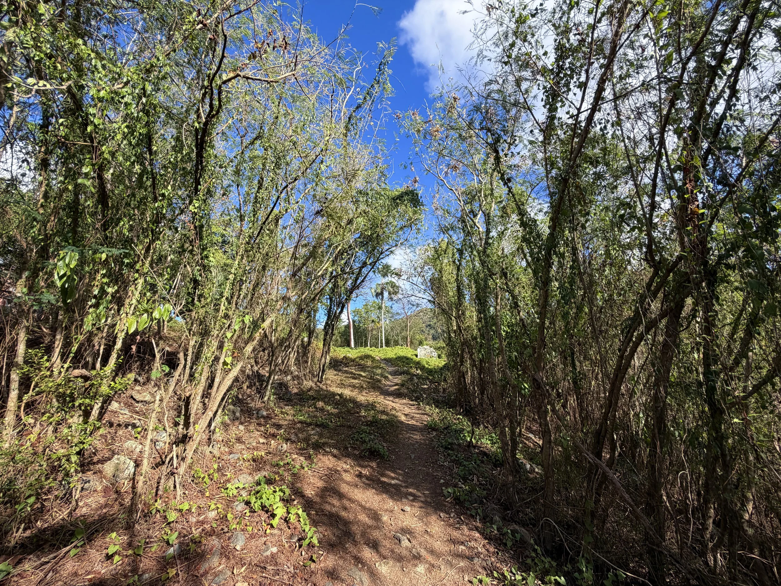 America Hill Trail Virgin Islands National Park
