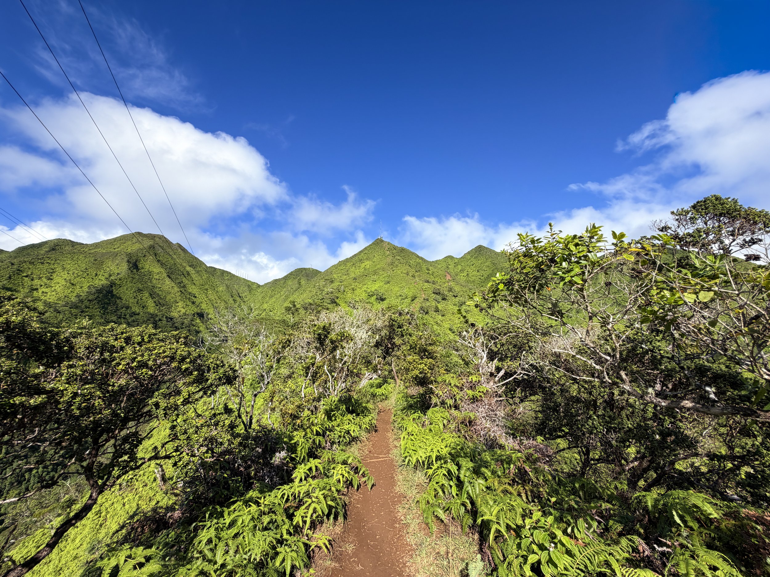 Wiliwilinui Ridge Trail Oahu Hawaii
