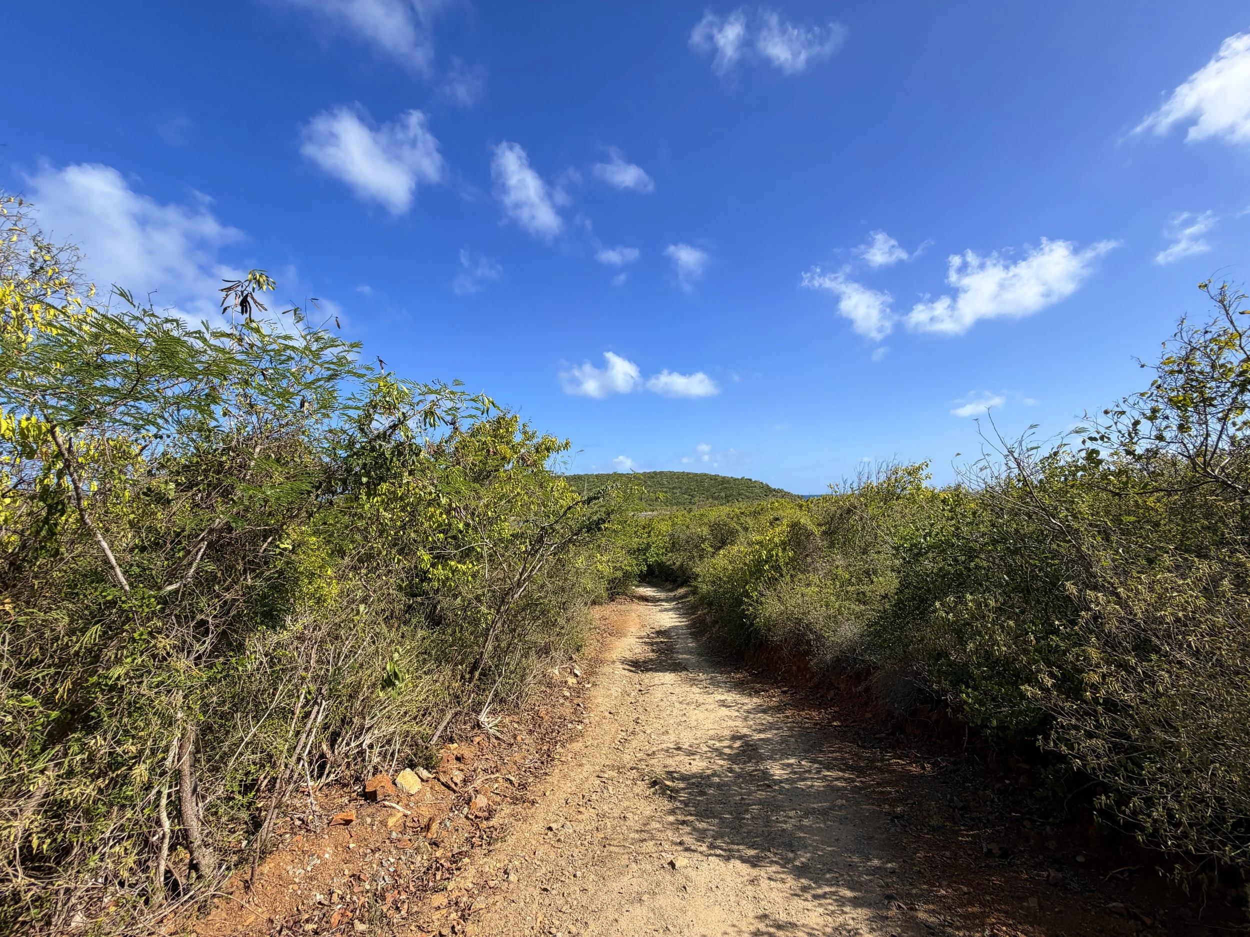 Drunk Bay Trail Virgin Islands National Park