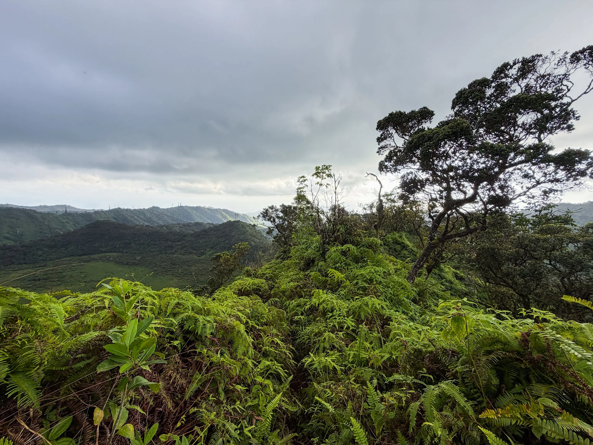Kaau Crater Trail Oahu Hawaii