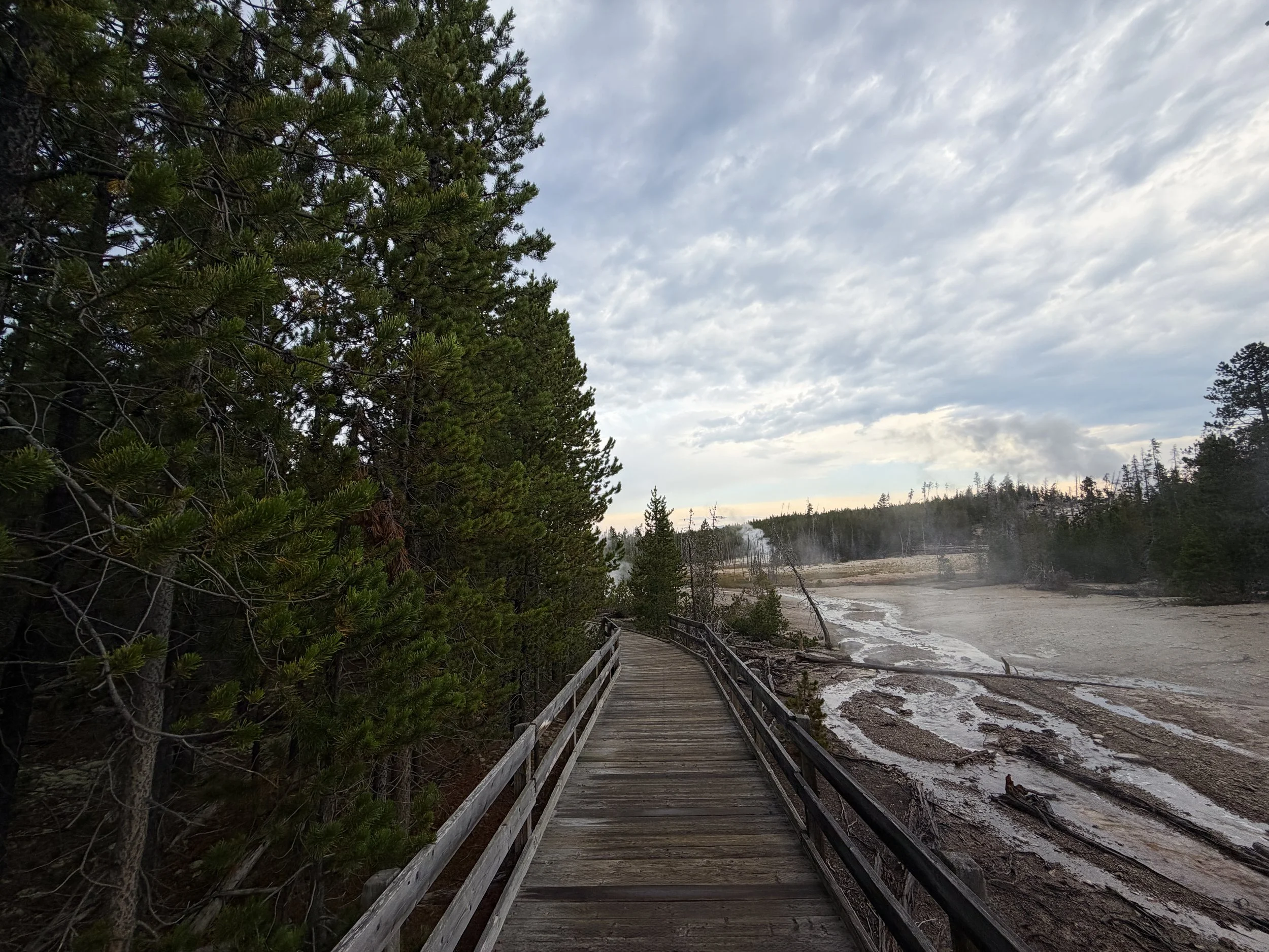 Norris Geyser Basin Loop Trail Yellowstone National Park Wyoming