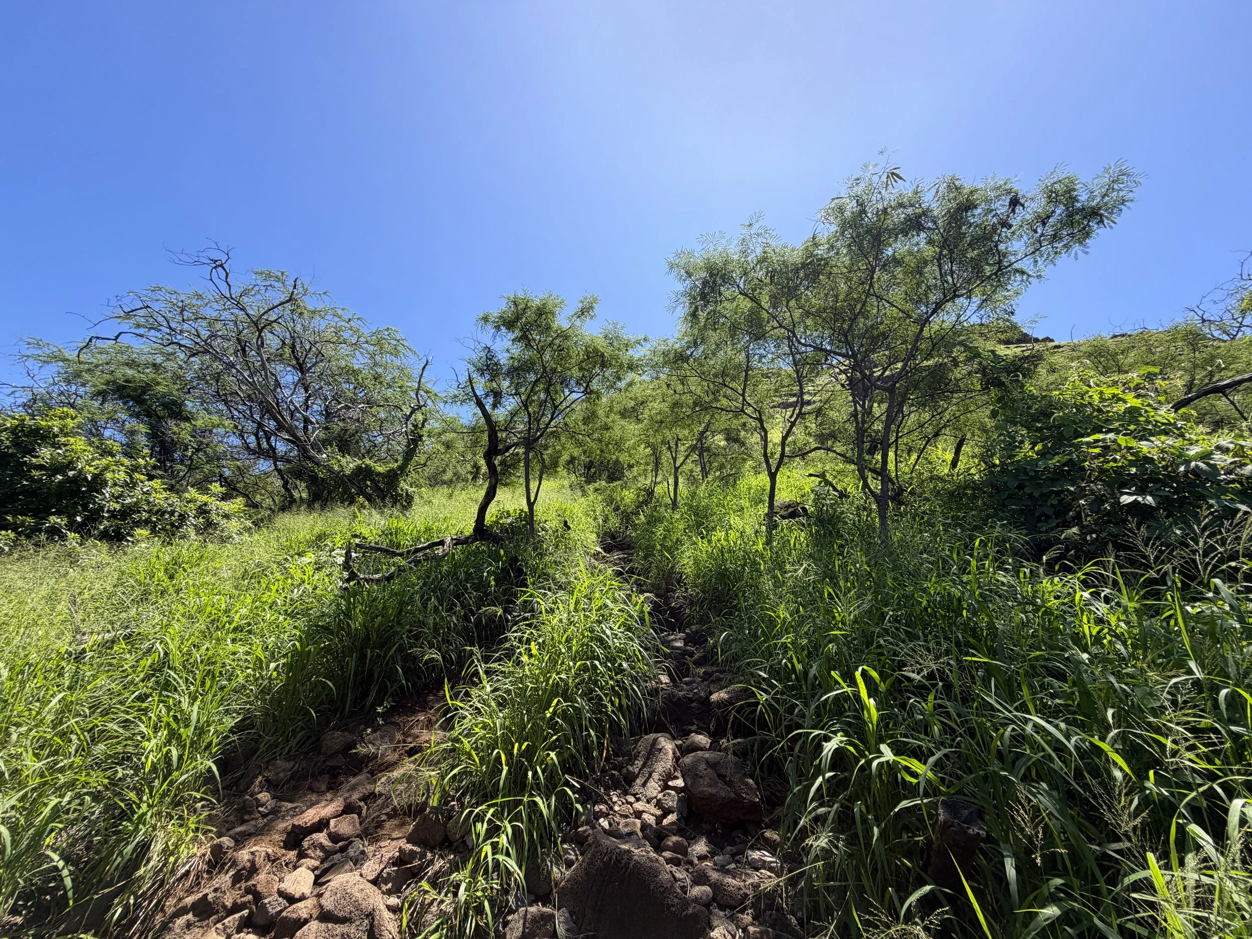 Puu O Hulu Trail Oahu Hawaii
