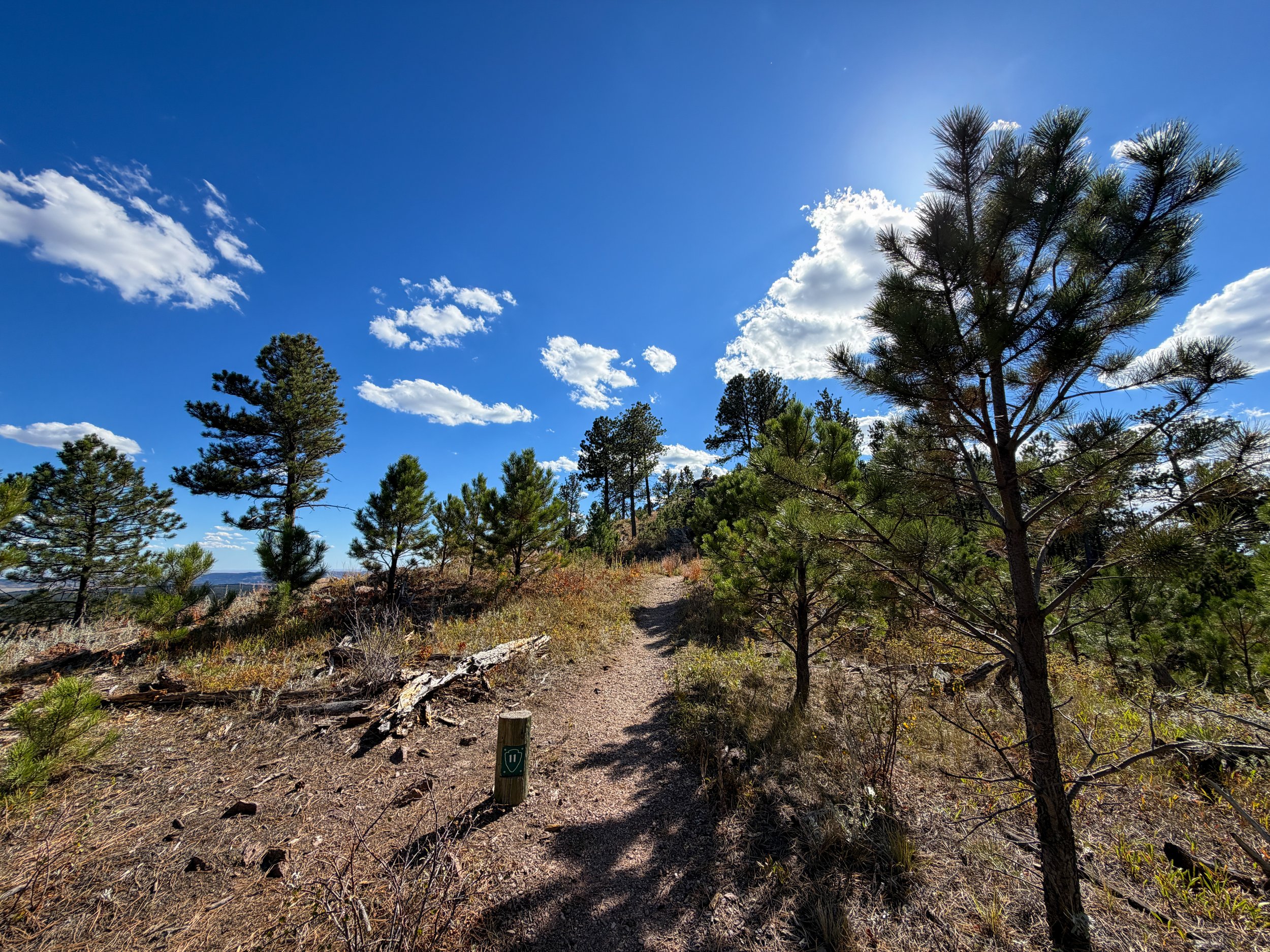 Rankin Ridge Nature Hike Wind Cave National Park South Dakota