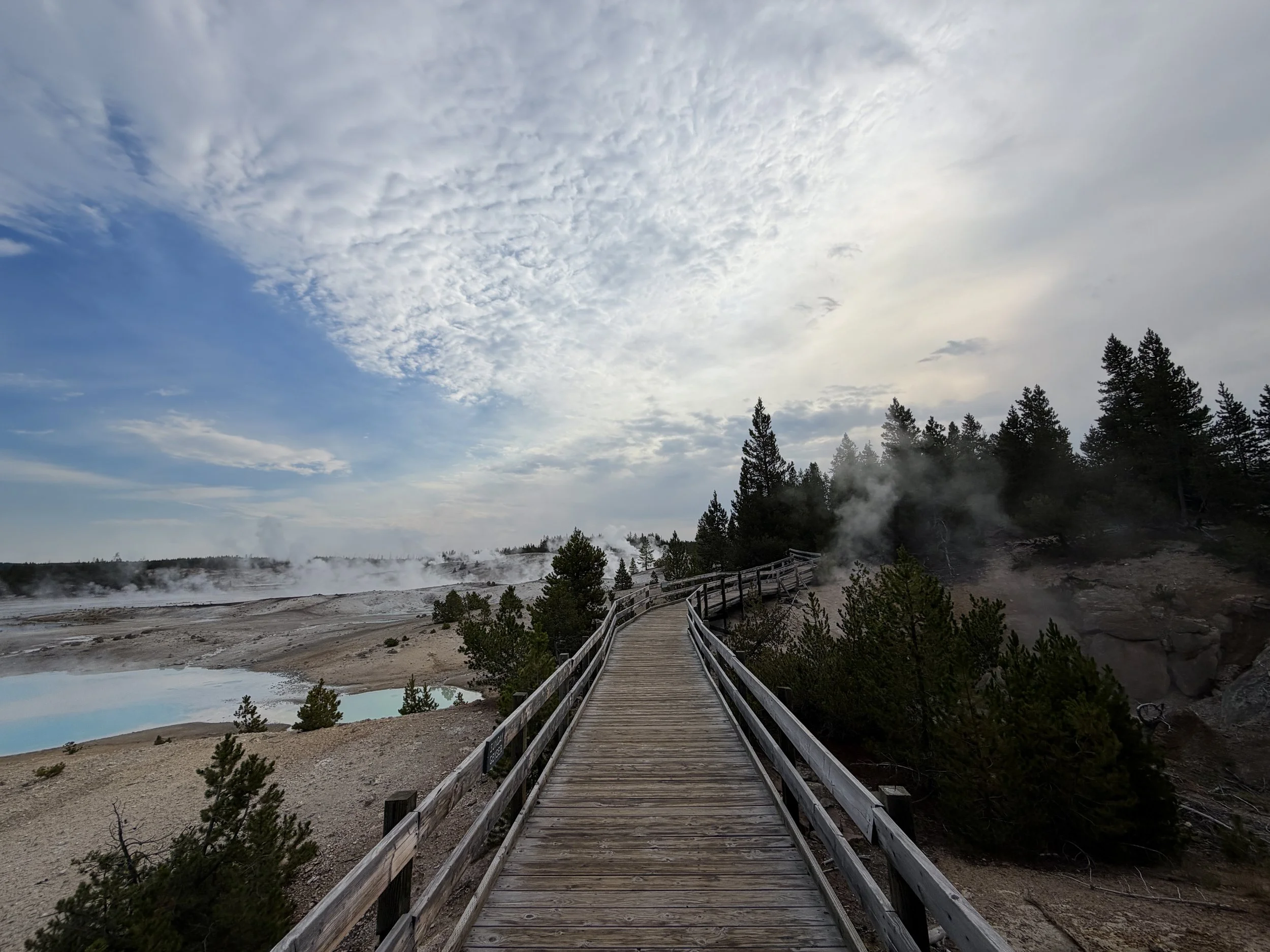 Porcelain Basin Norris Geyser Basin Trail Yellowstone National Park Wyoming