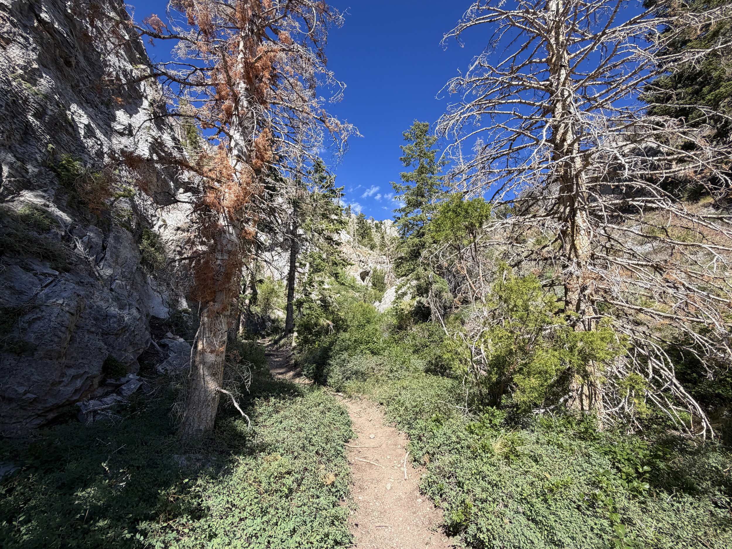 Lexington Arch Trail Great Basin National Park Nevada