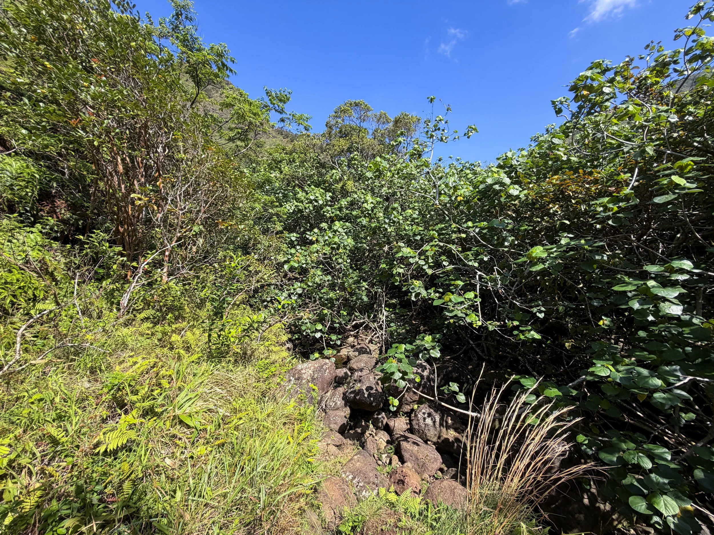 Kulanaahane Trail Oahu Hawaii