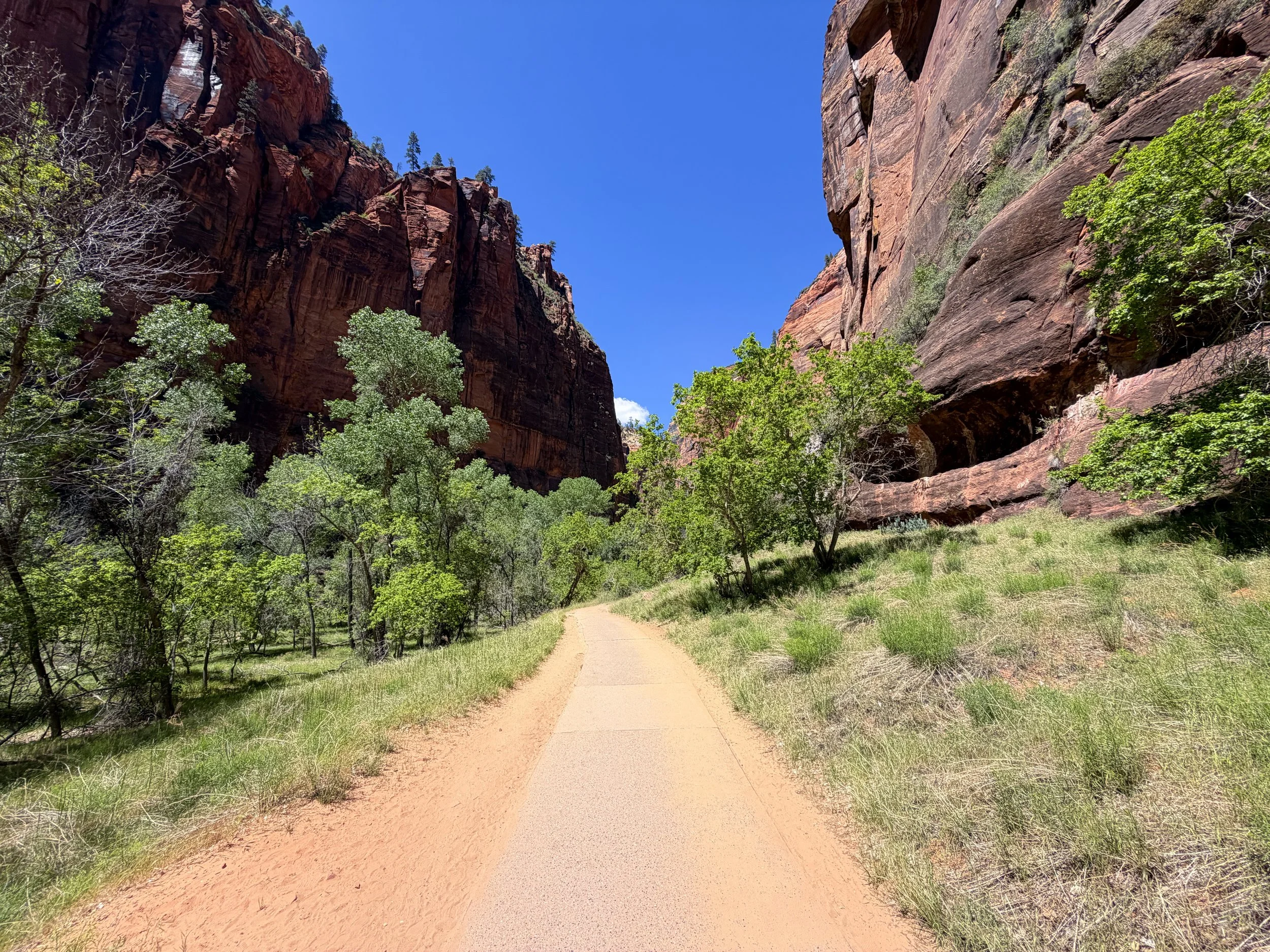 Riverside Walk Trail Zion National Park Utah