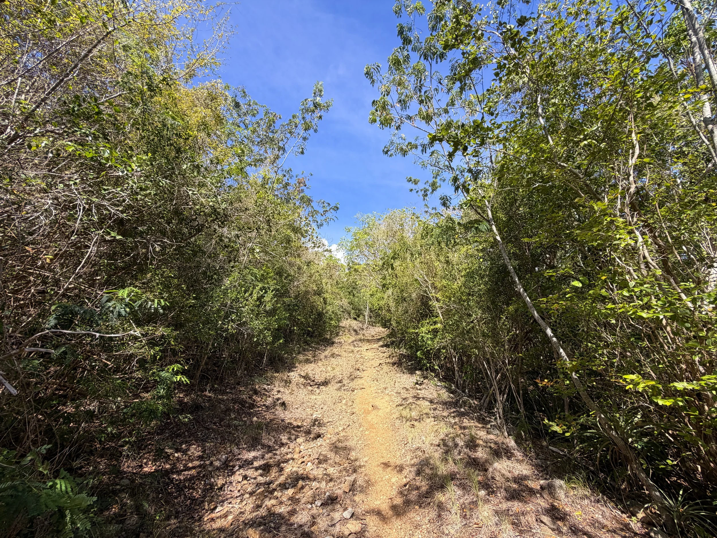 Lameshur Bay Trail Virgin Islands National Park