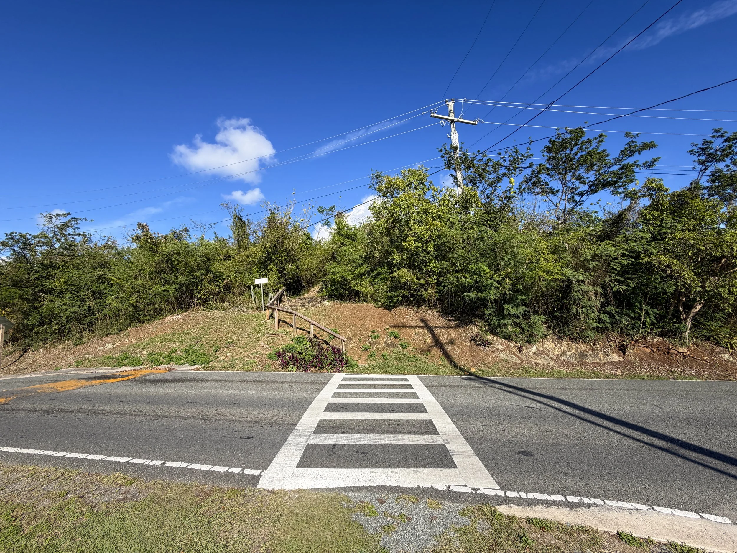 Caneel Hill Spur Trailhead Virgin Islands National Park