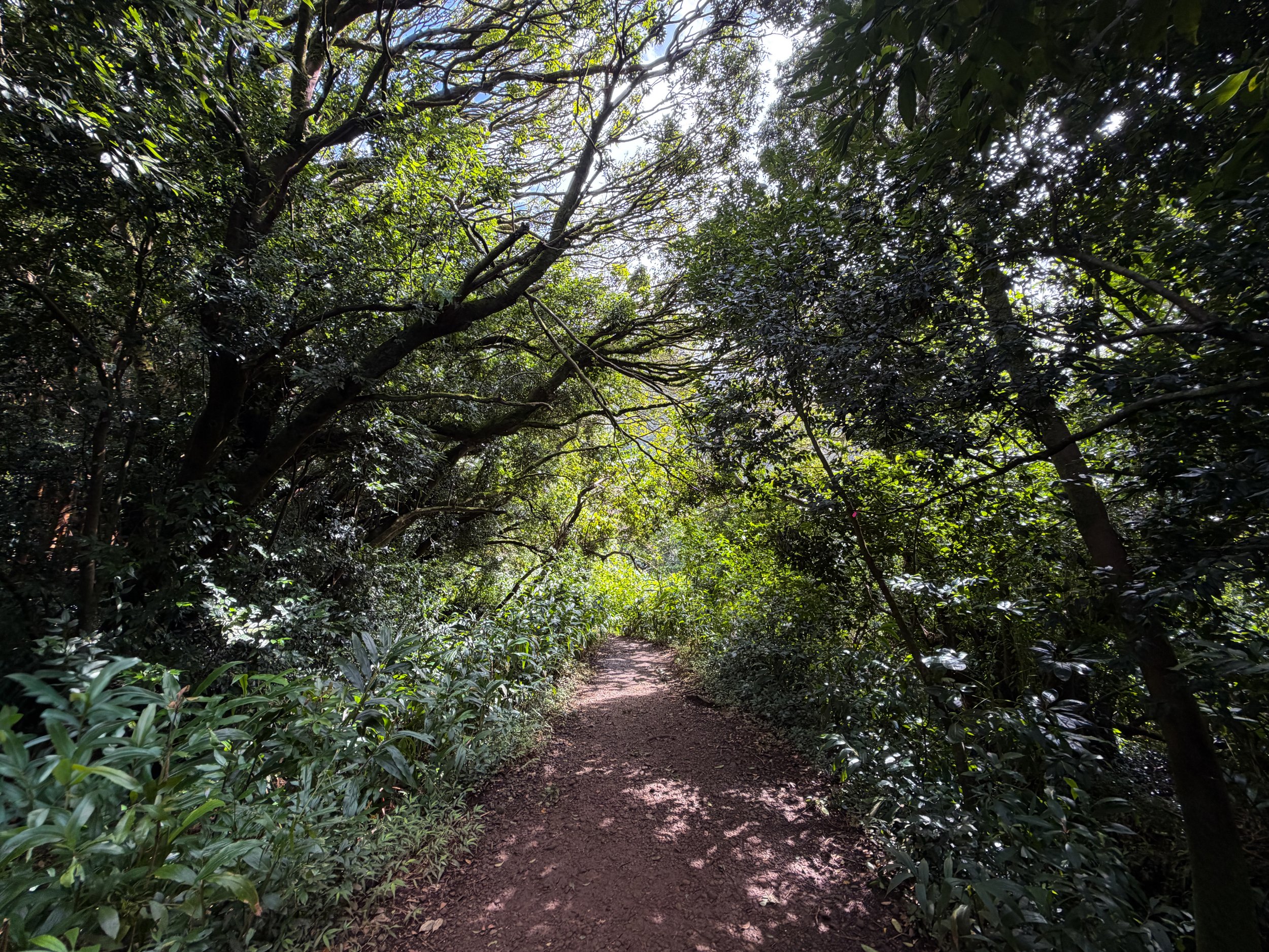 Lulumahu Falls Trail Oahu Hawaii