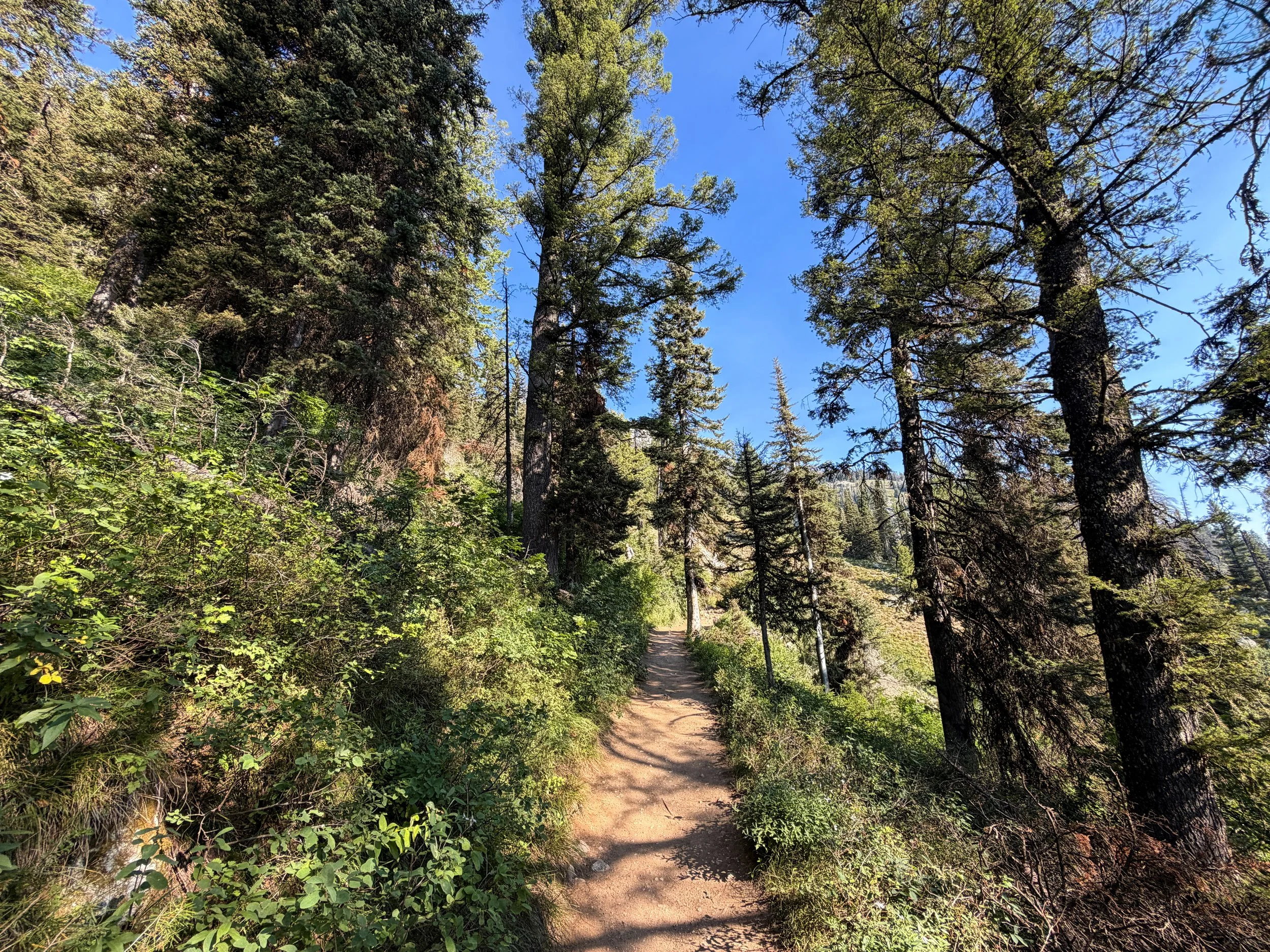 Delta Lake Trail Grand Teton National Park Wyoming