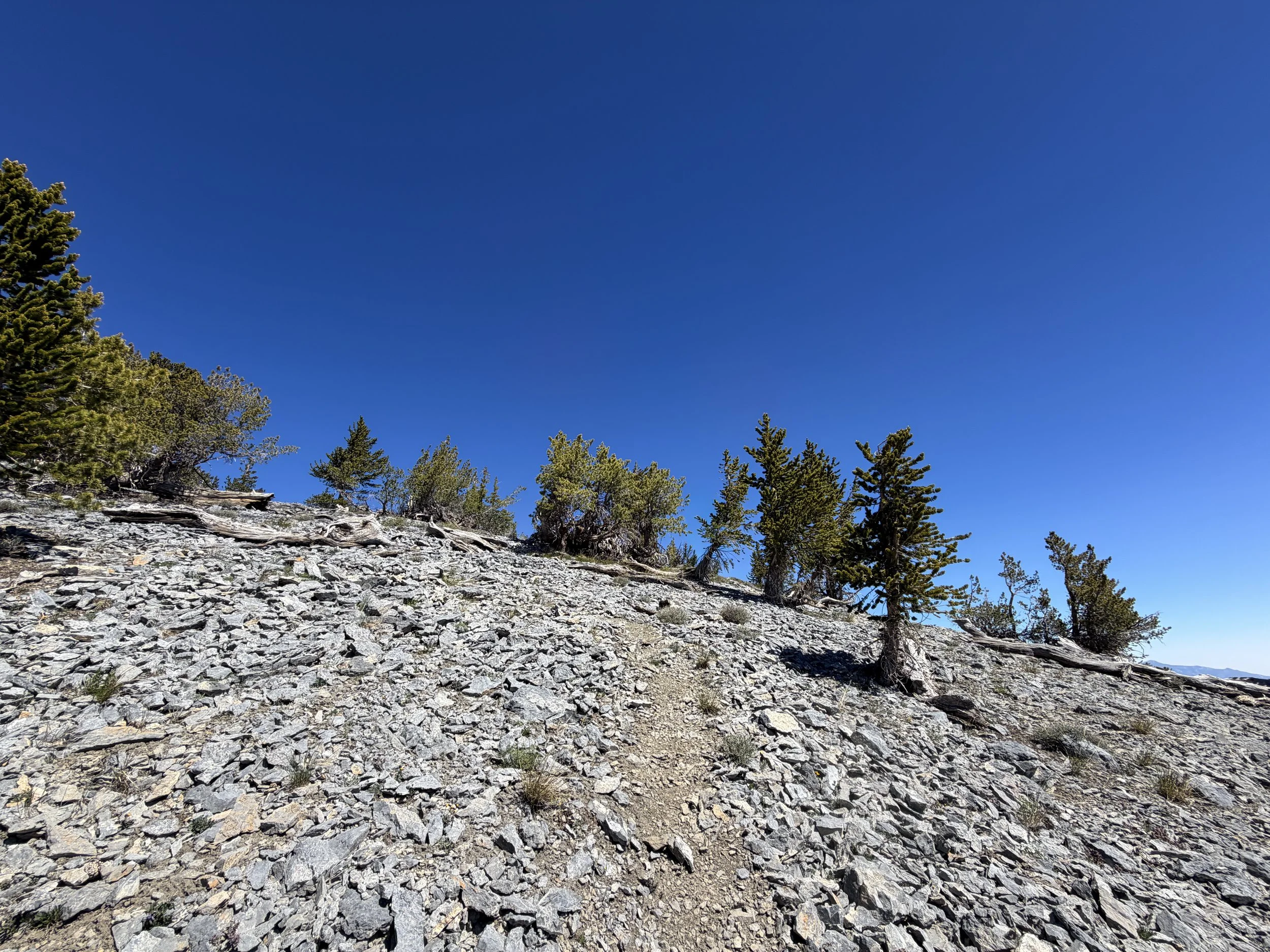 Snake Divide Trail to Magic Bristlecone Pine Grove Great Basin National Park Nevada