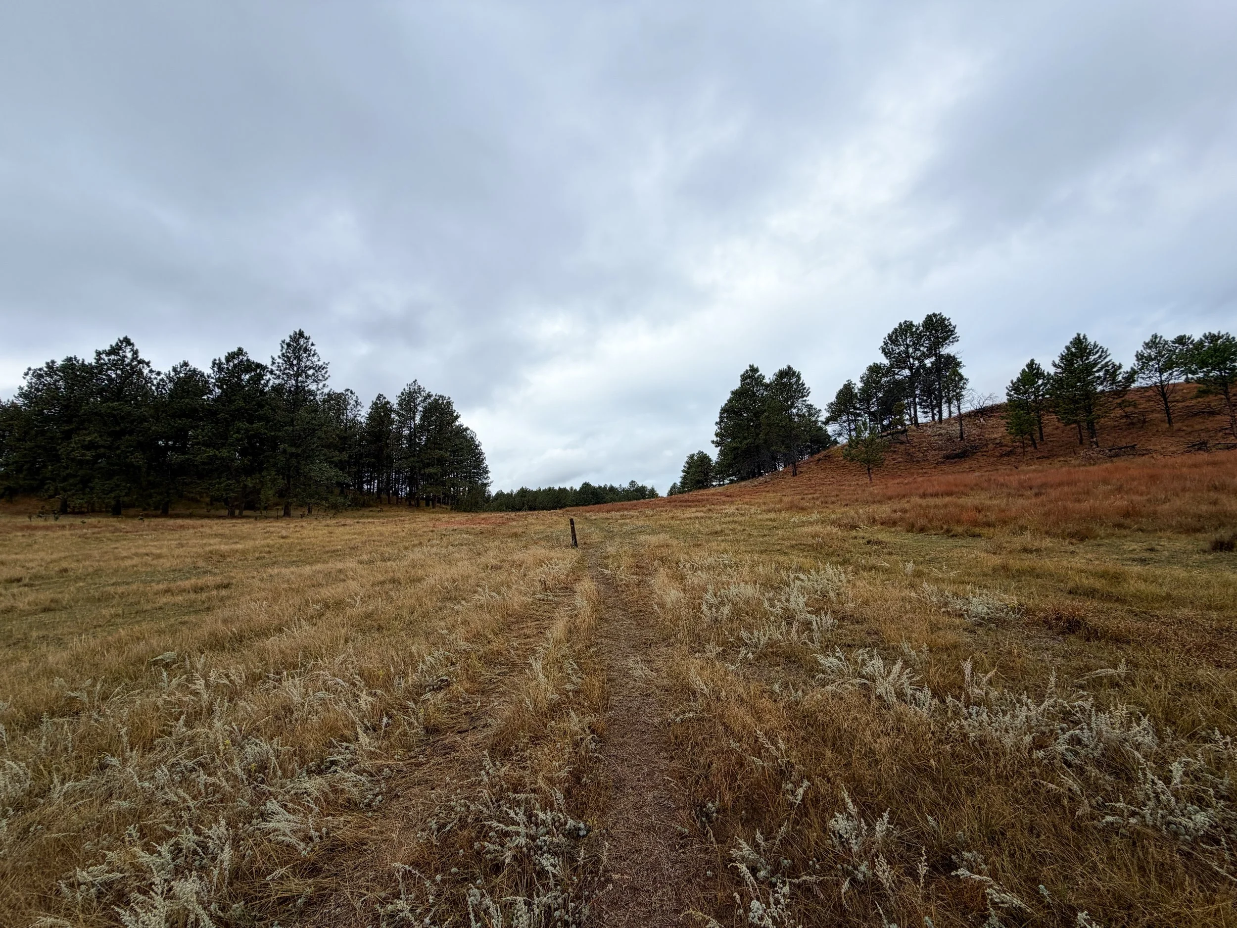 Highland Creek Trail to Wind Cave Canyon Wind Cave National Park South Dakota