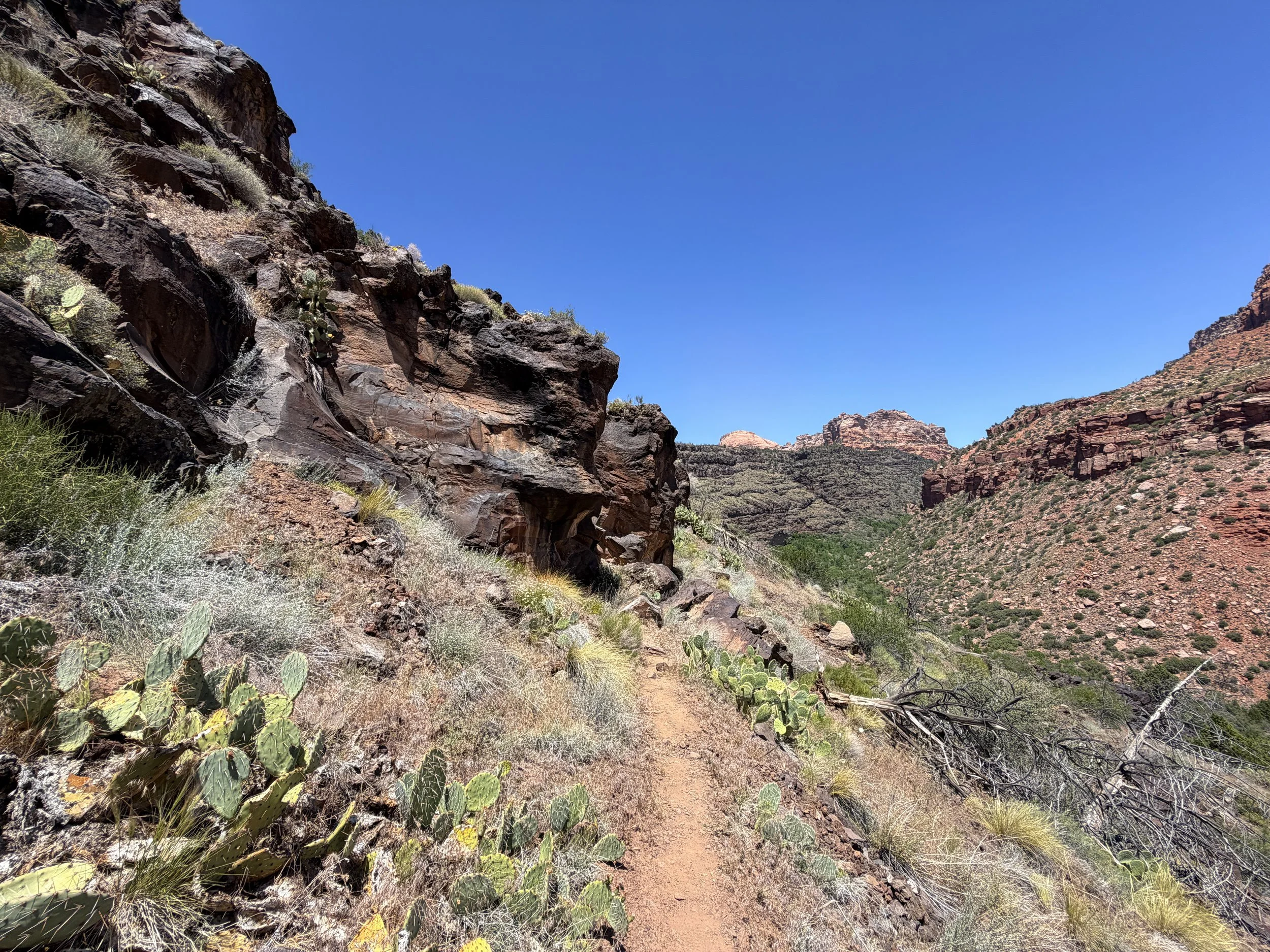 Grapevine Trail Zion National Park Utah