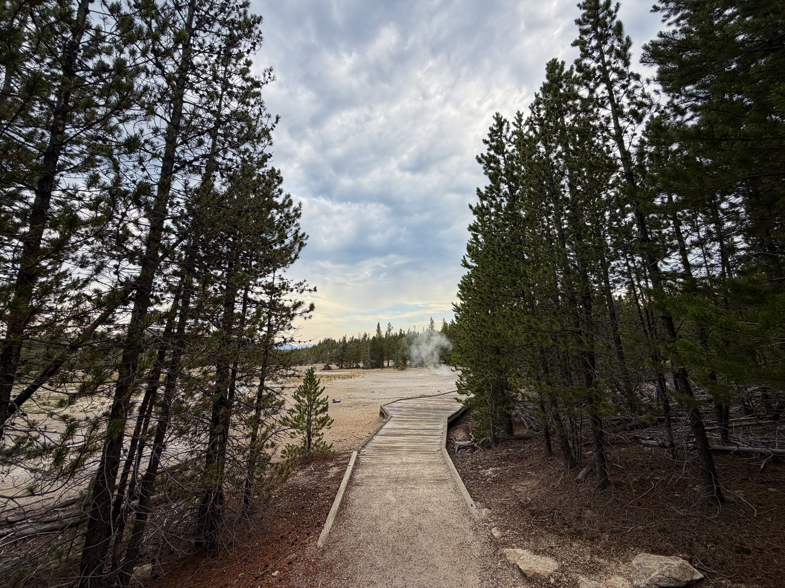 Norris Geyser Basin Trail Yellowstone National Park Wyoming