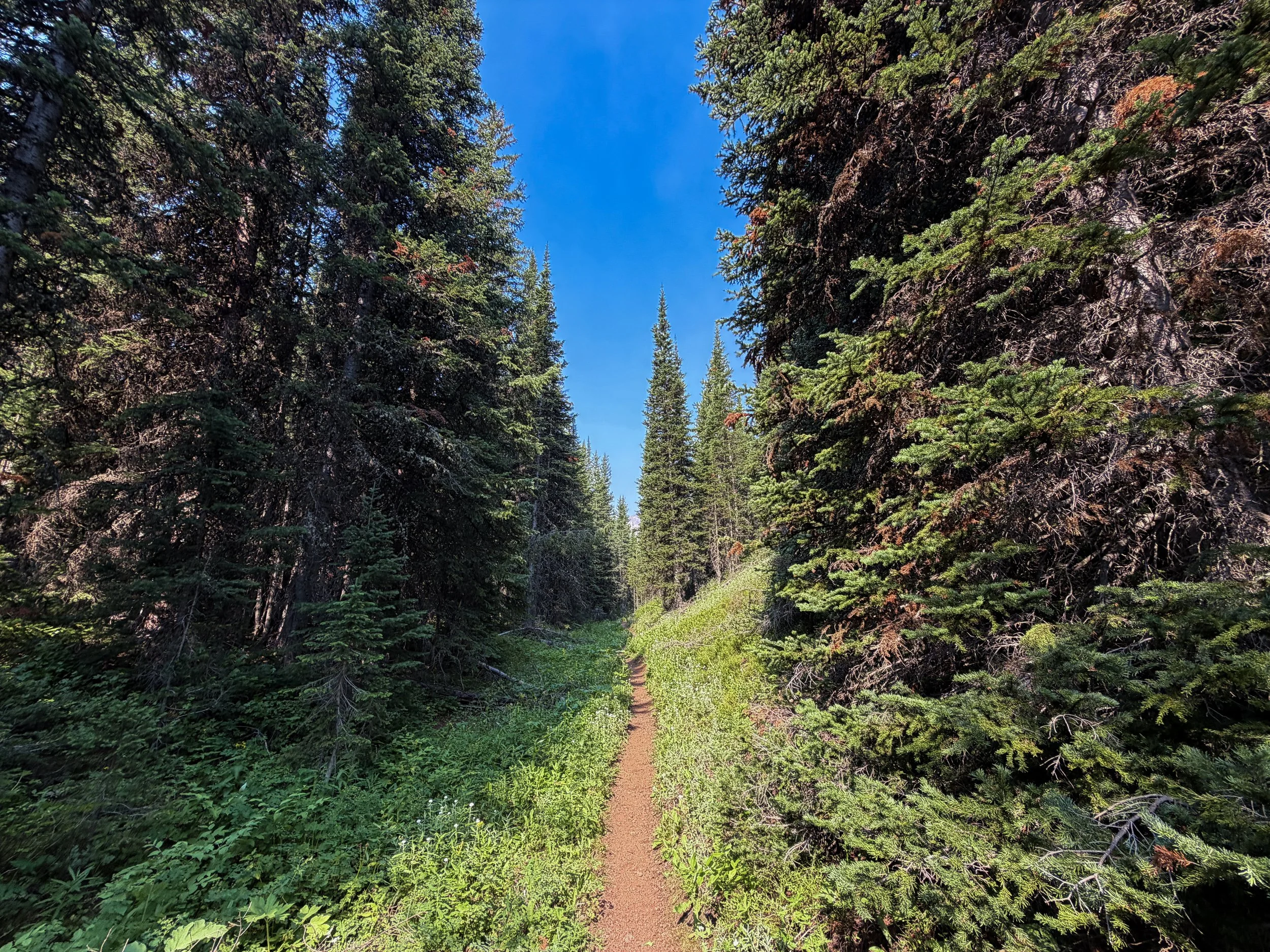 East Rosebud Trail The Beaten Path Beartooth Mountains Montana
