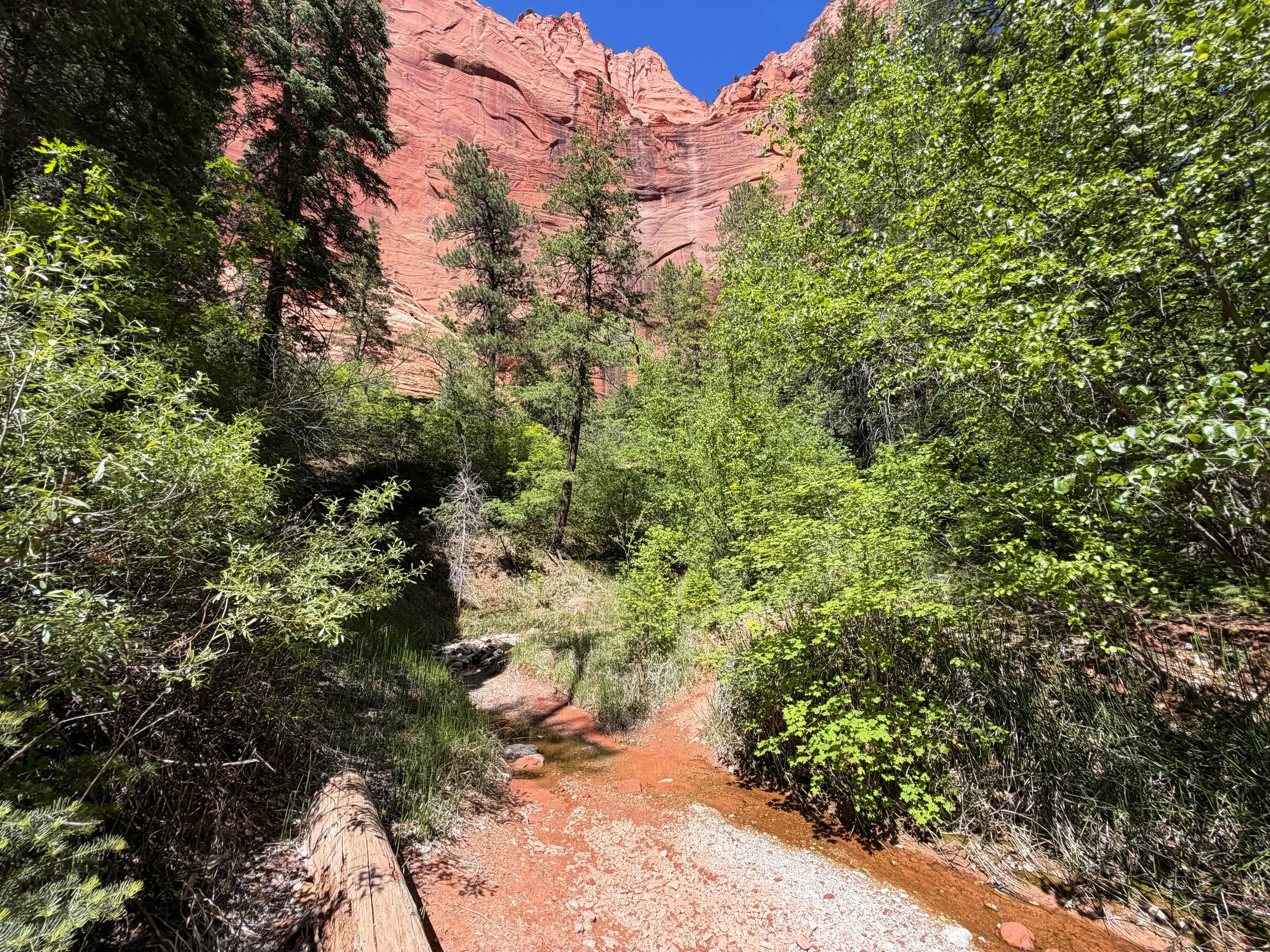 Taylor Creek Hike Zion National Park Utah