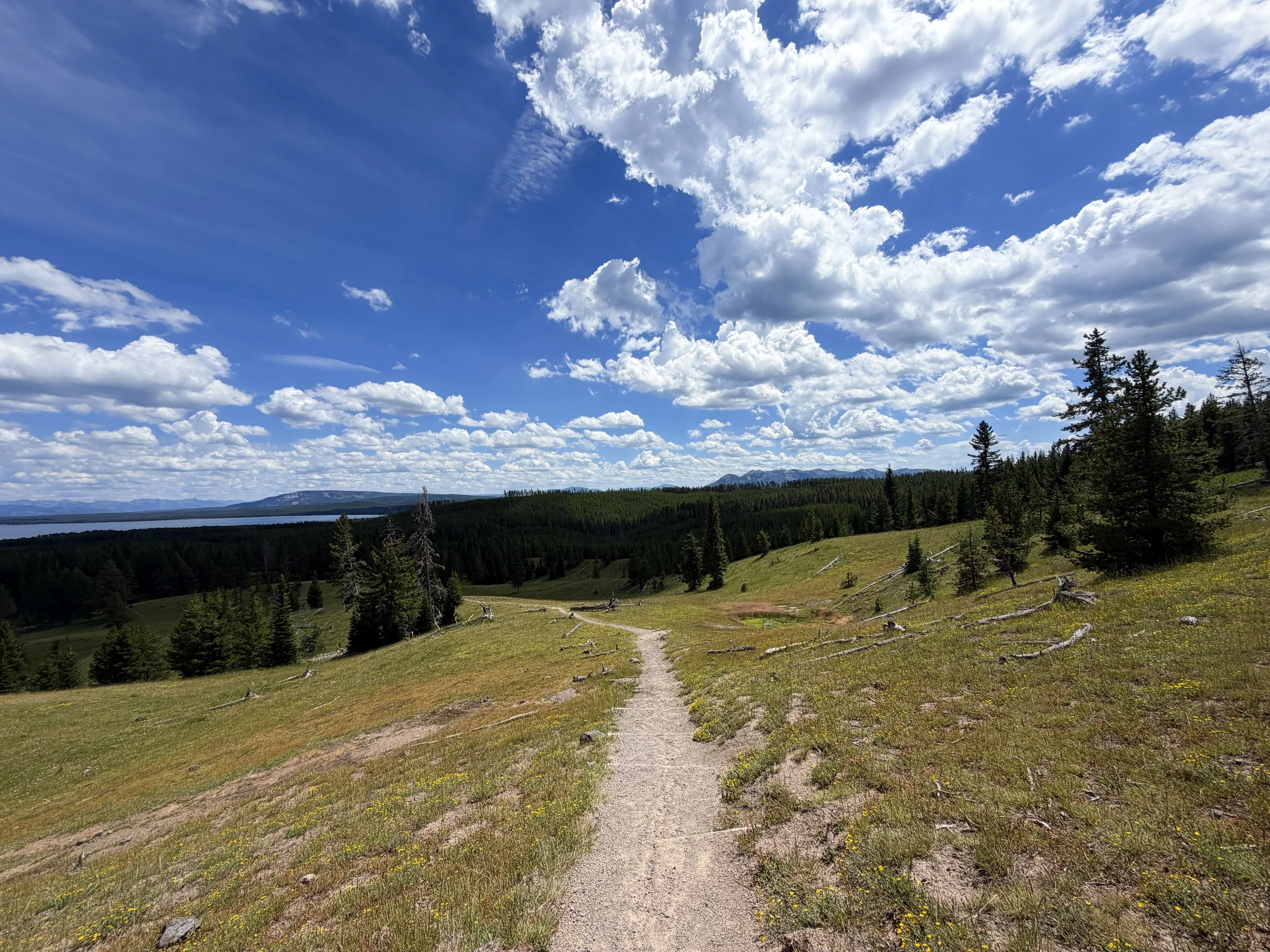 Yellowstone Lake Overlook Trail Yellowstone National Park Wyoming