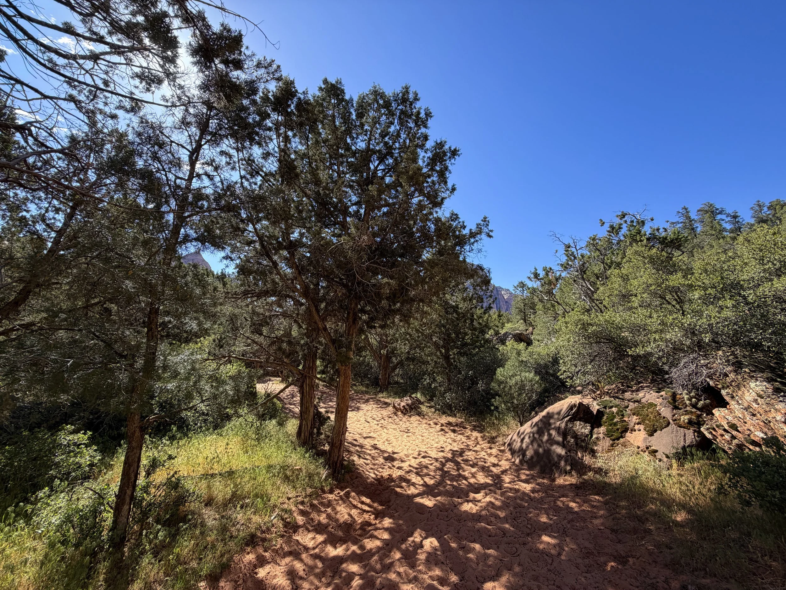 Sand Bench Trail Zion National Park Utah