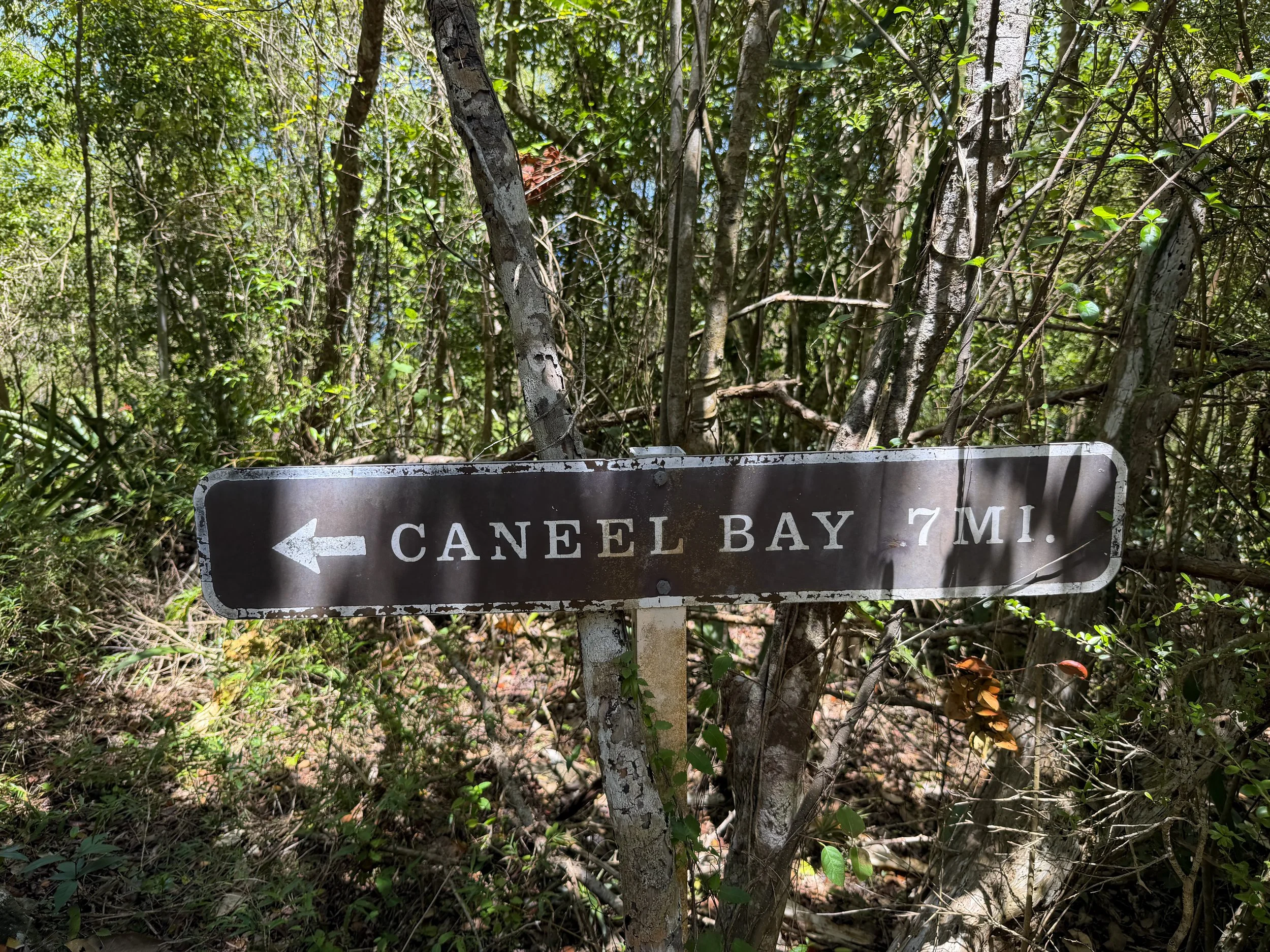 Caneel Hill Trail to North Shore Road Virgin Islands National Park