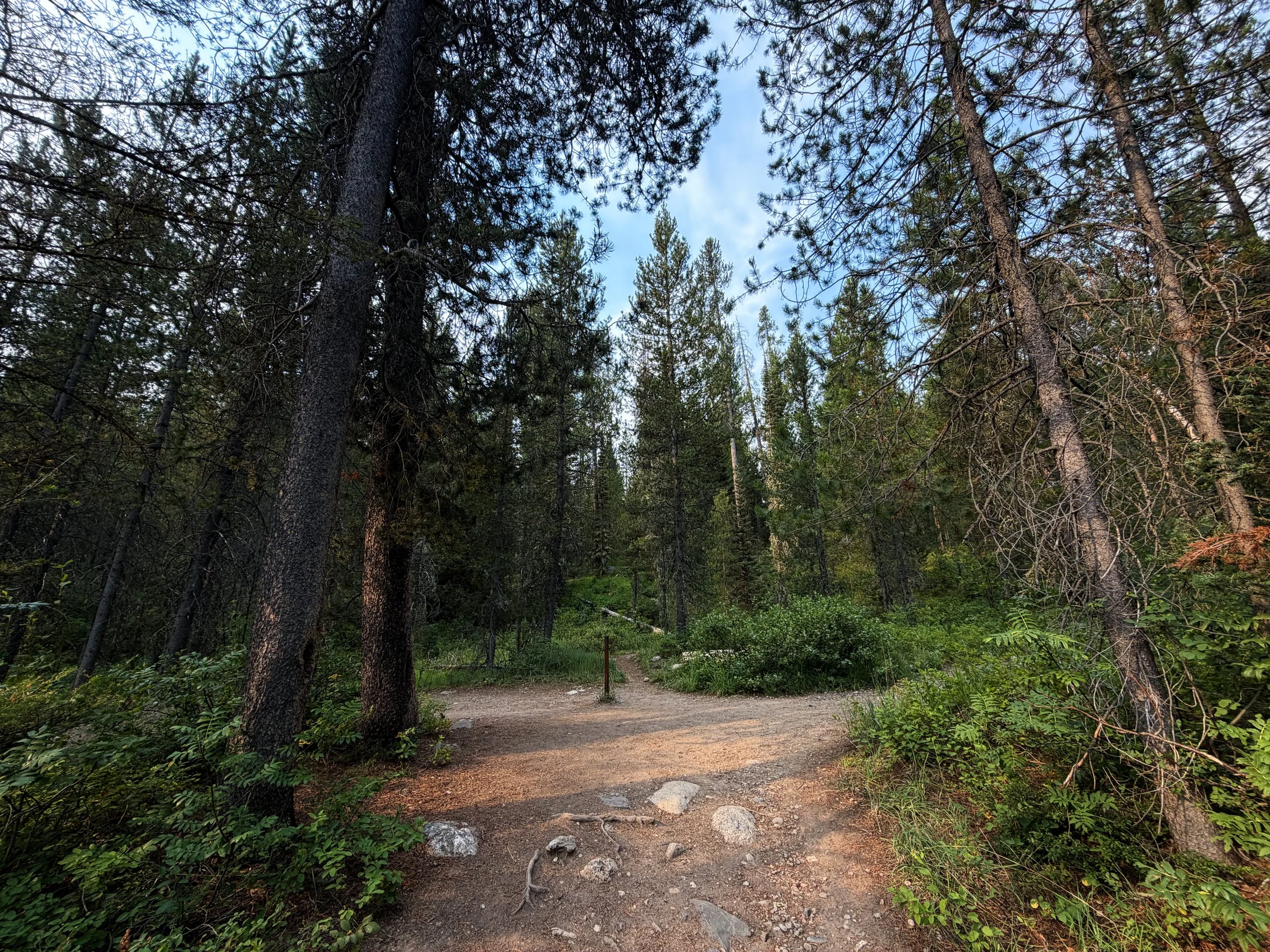Aspen–Boulder Ridge Loop Trail Grand Teton National Park Wyoming