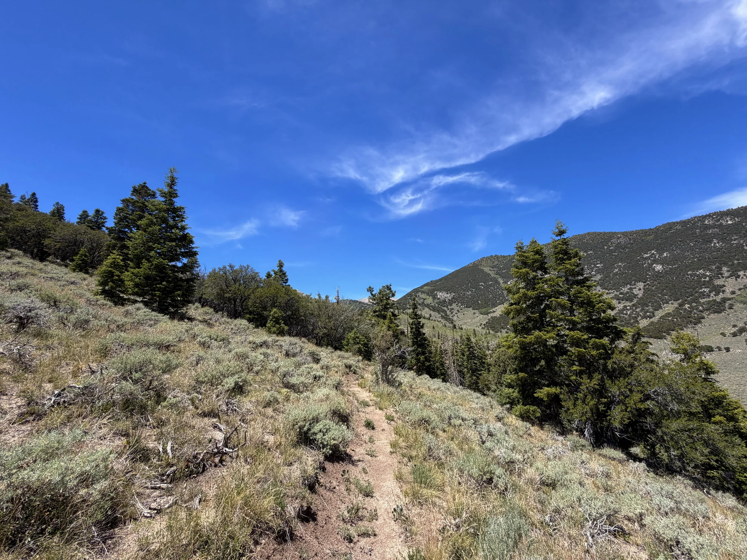 Serviceberry Loop Hike Great Basin National Park Nevada