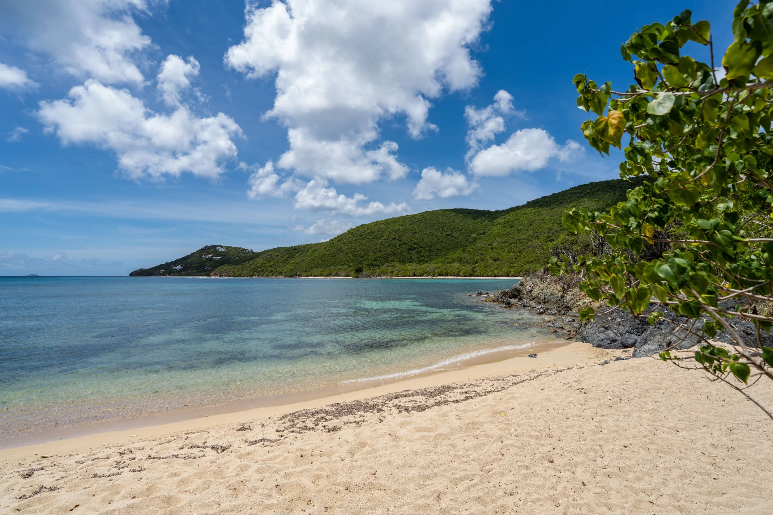 Reef Bay Trail Beach Virgin Islands National Park