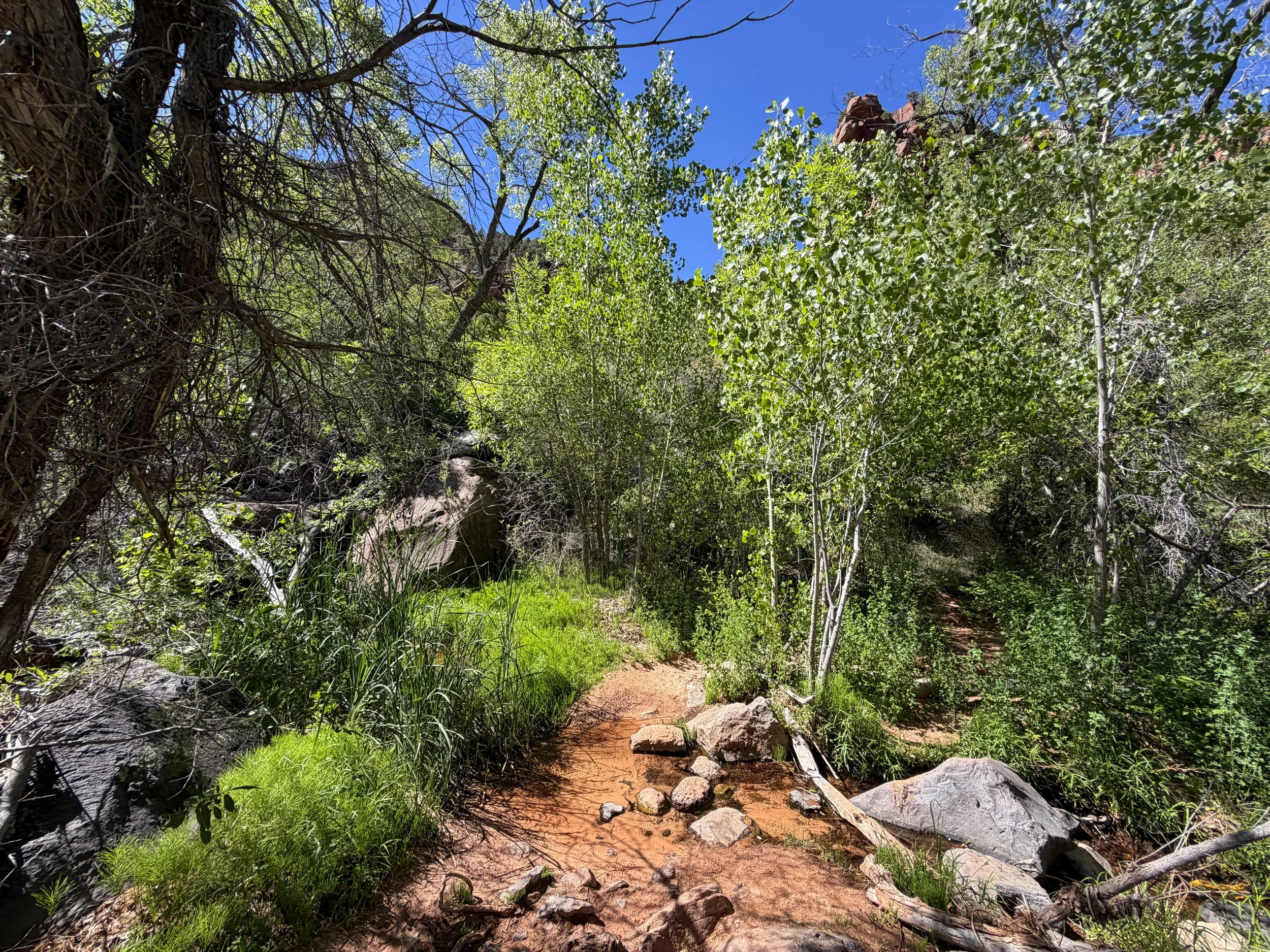 Subway Hike Zion National Park Utah