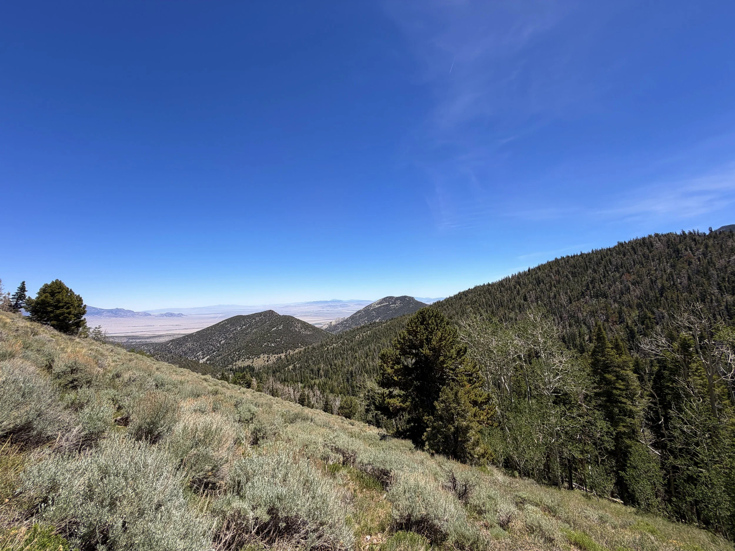 Timber Creek Loop Hike Great Basin National Park Nevada