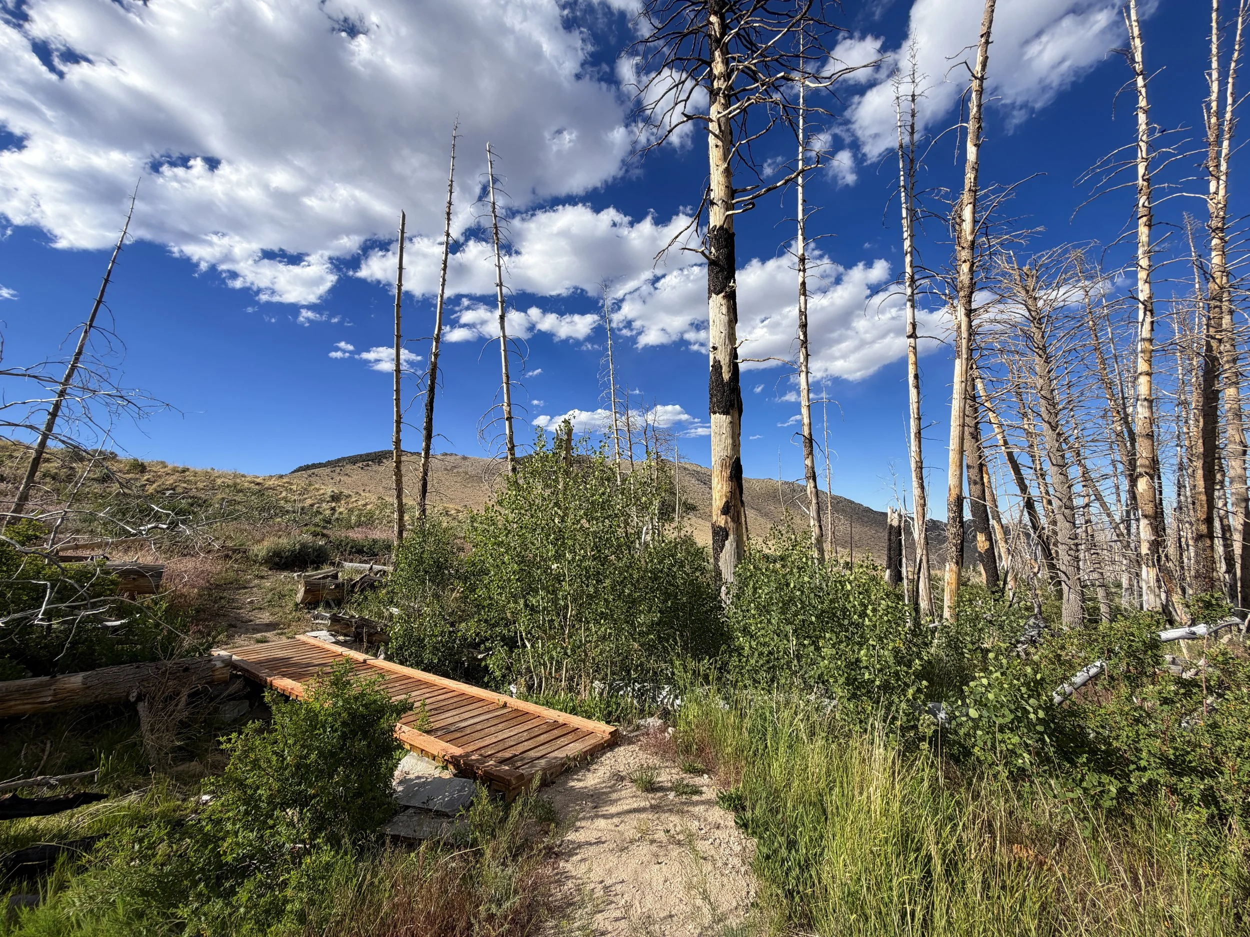 Sage Steppe Loop Trail Great Basin National Park Nevada