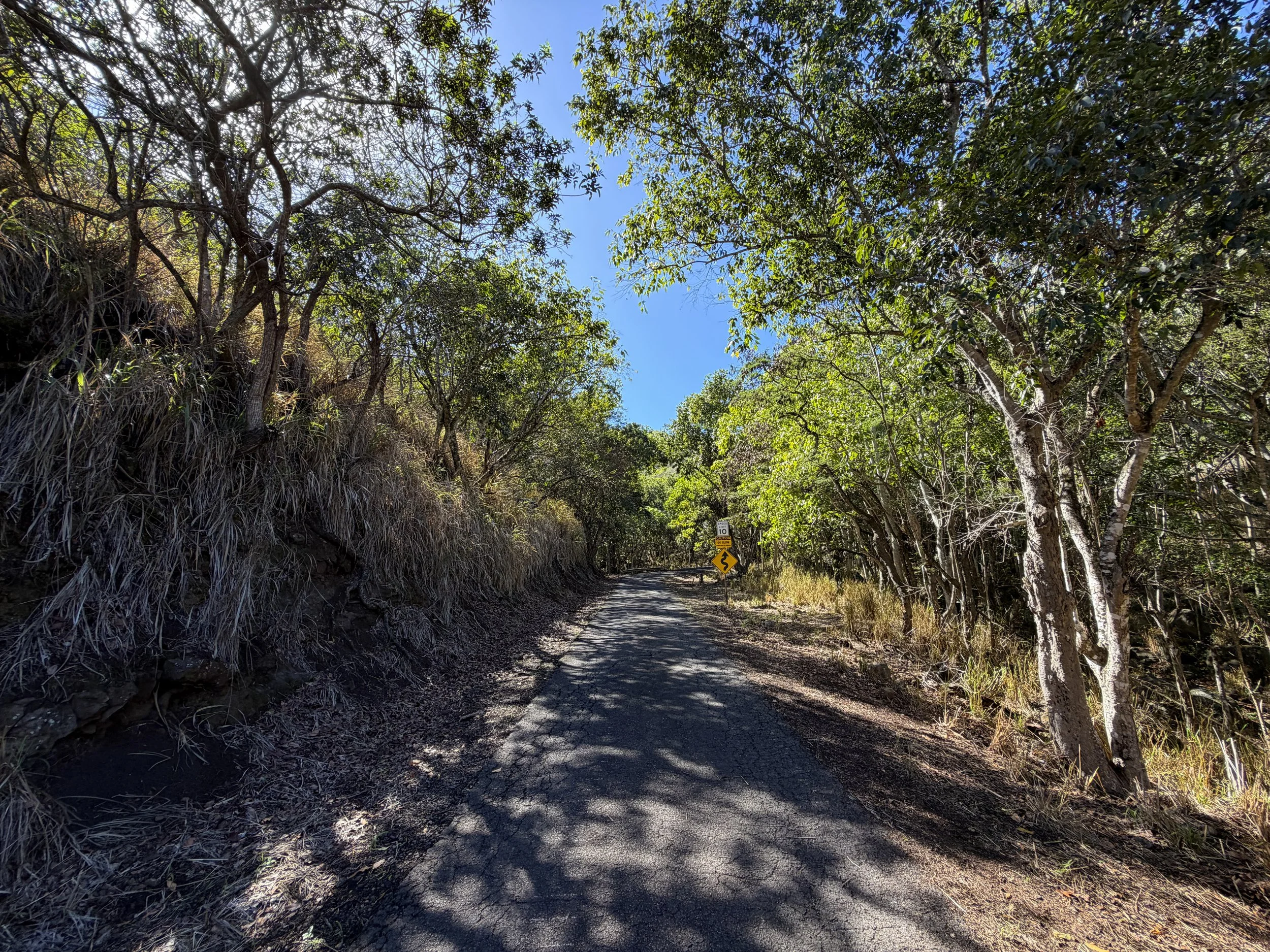Mokuleia Forest Reserve Access Road Oahu Hawaii