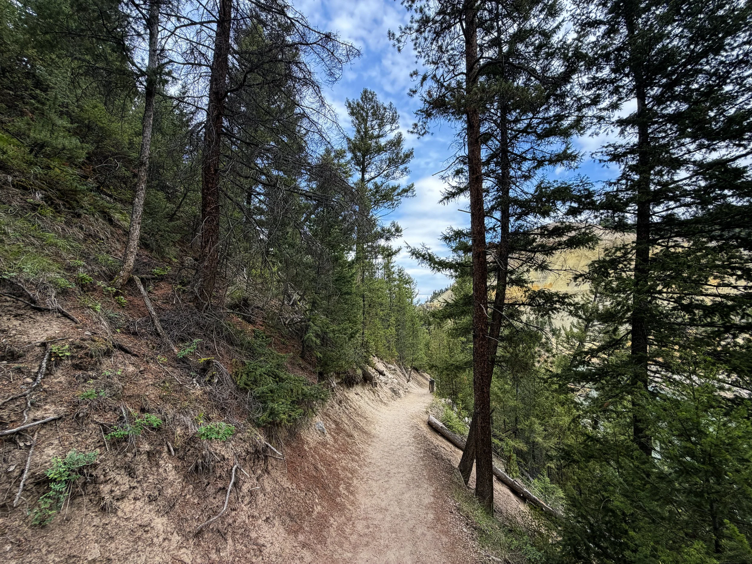 Tower Falls Hike Yellowstone National Park Wyoming