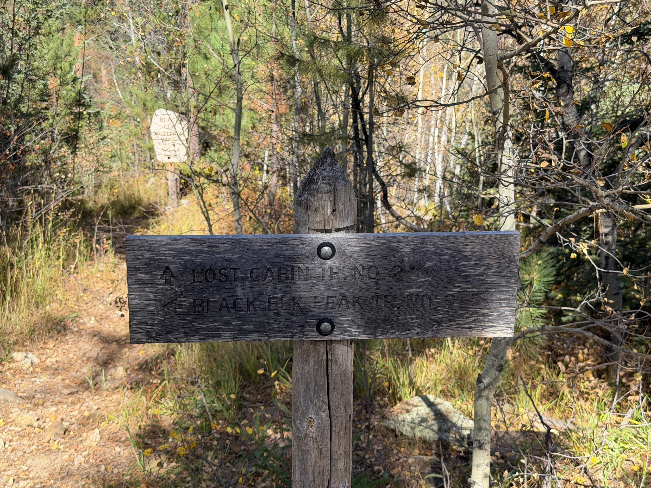 Black Elk Peak Trail Custer State Park Black Hills South Dakota