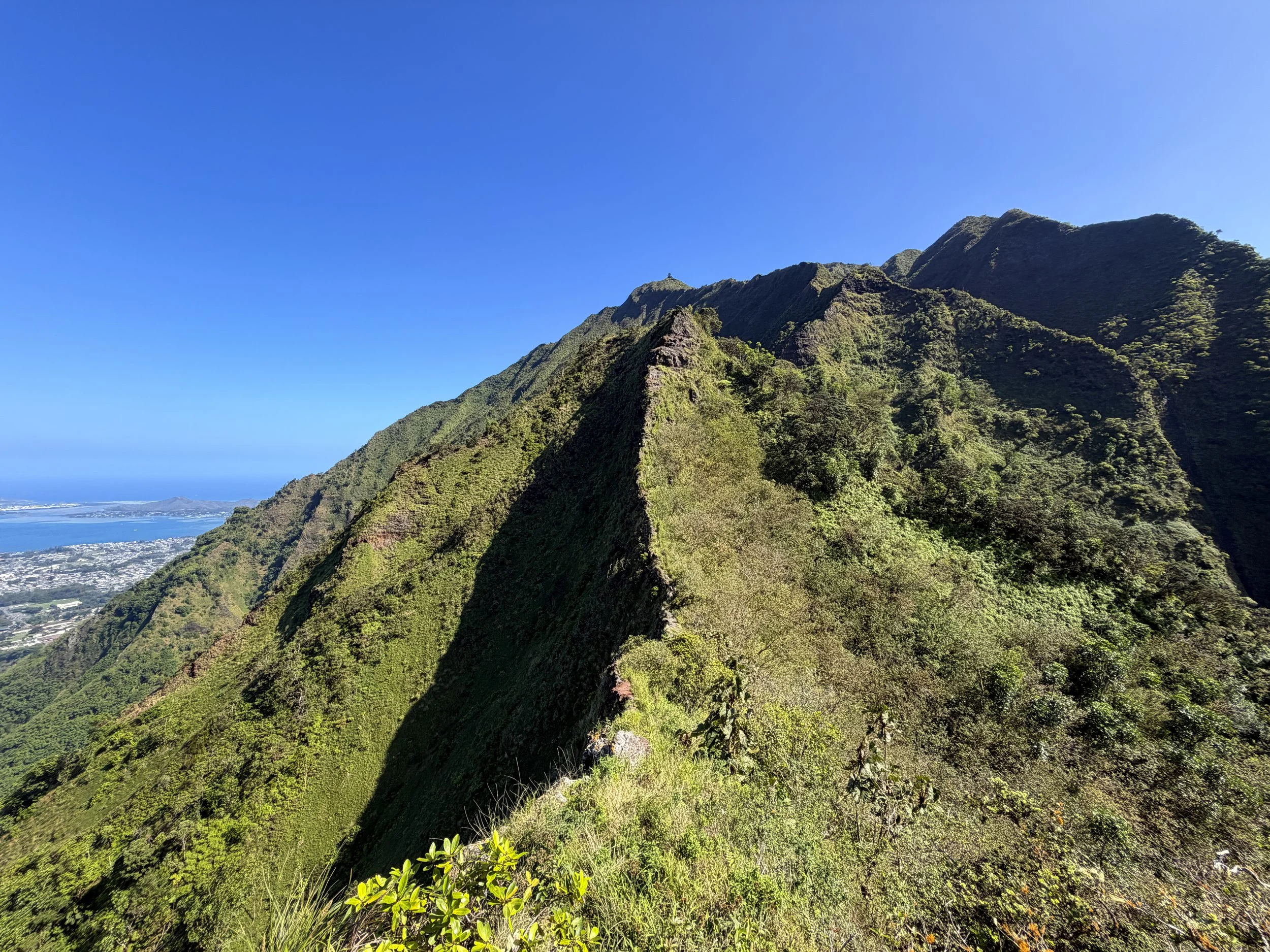 Moanalua Saddle Koolau Summit Trail Oahu Hawaii