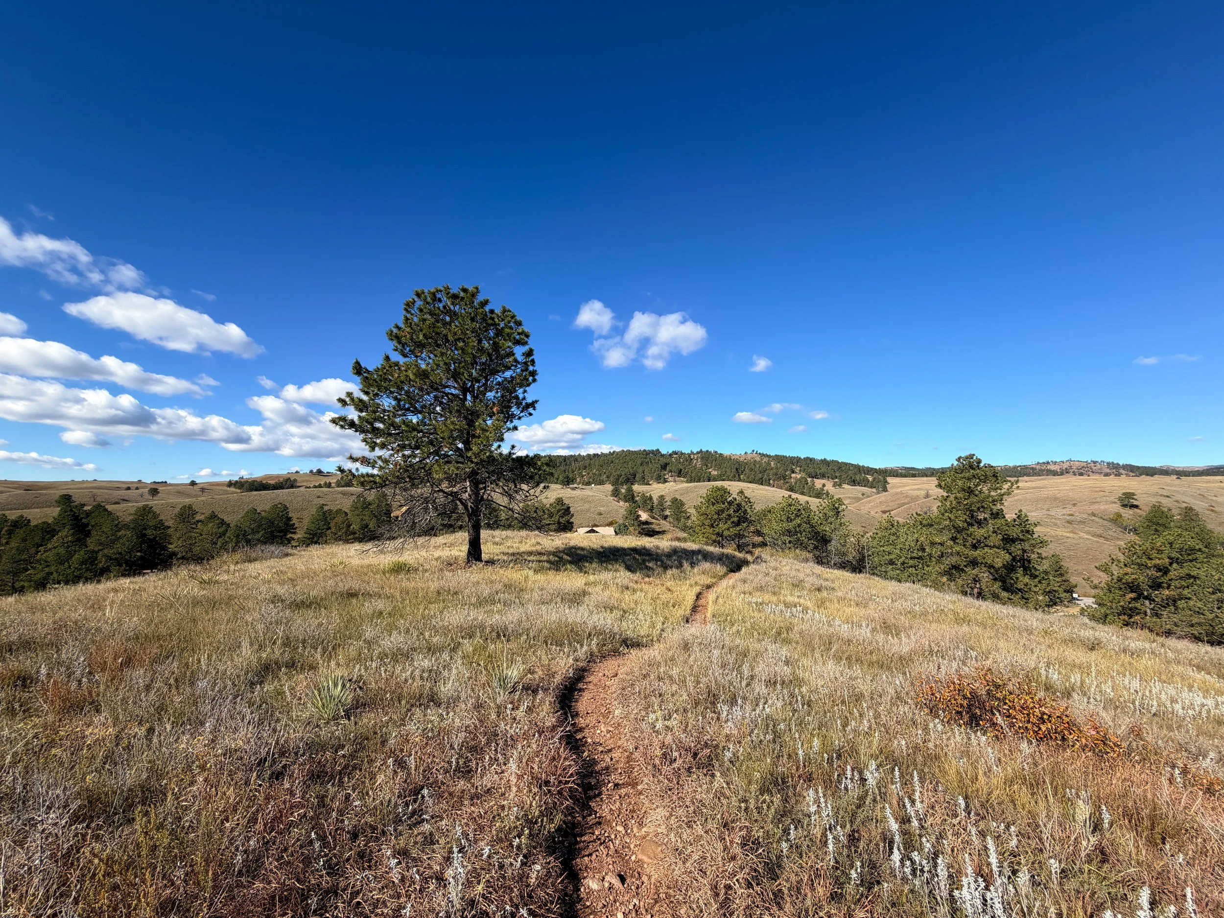 Prairie Vista Loop Trail Wind Cave National Park South Dakota