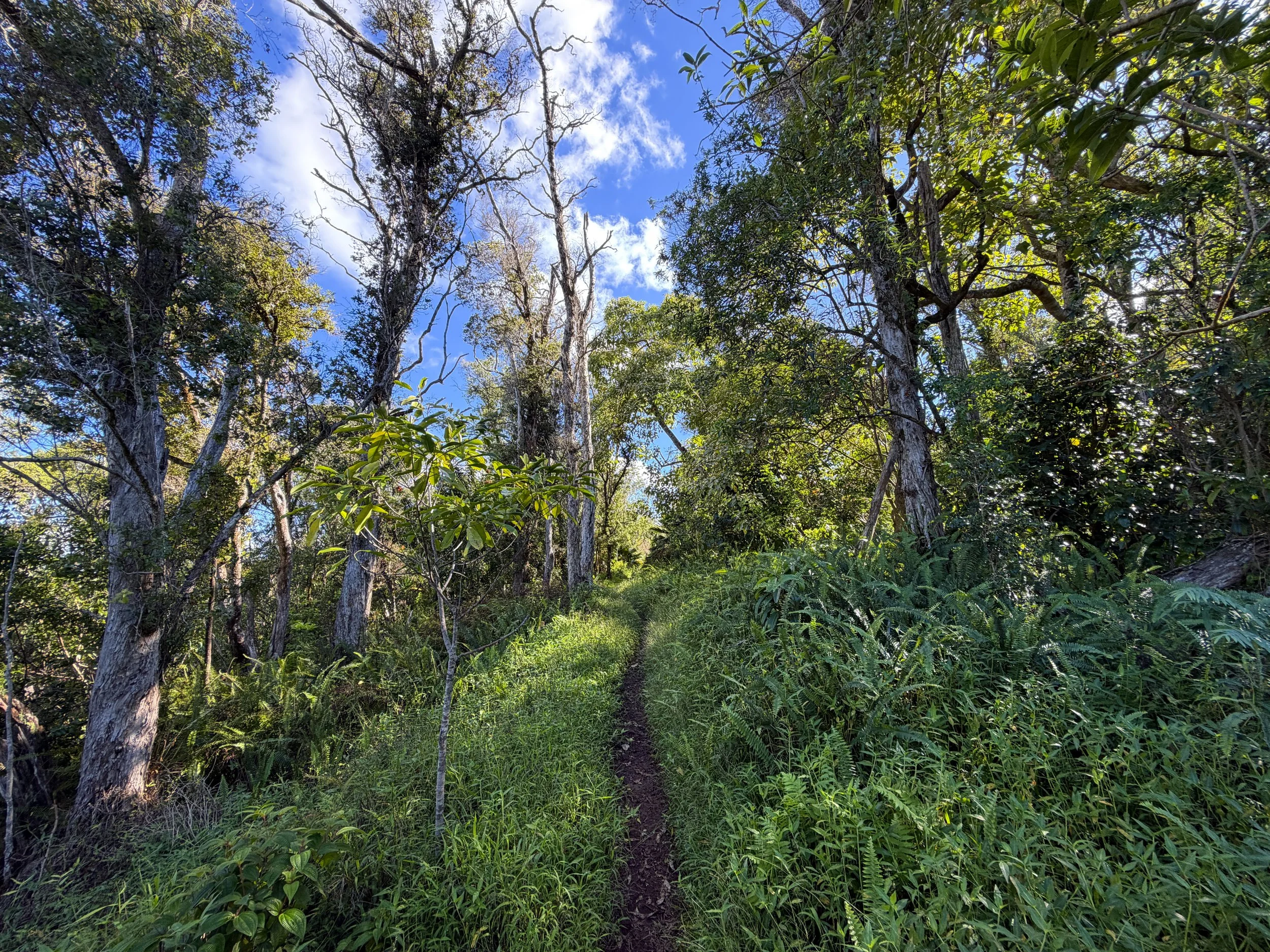 Mokuleia Trail Oahu Hawaii