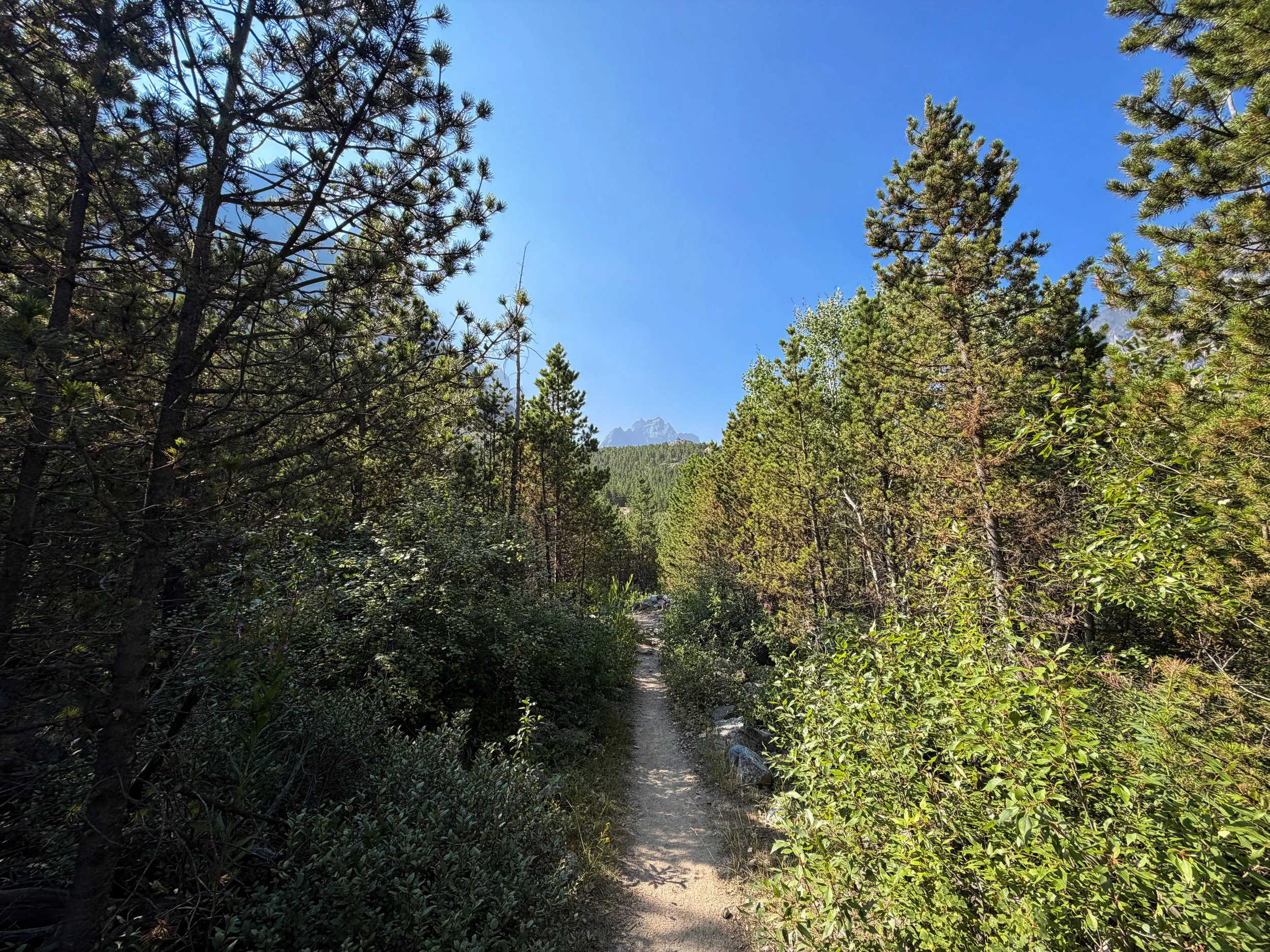 East Rosebud Trail Beartooth Mountains Montana