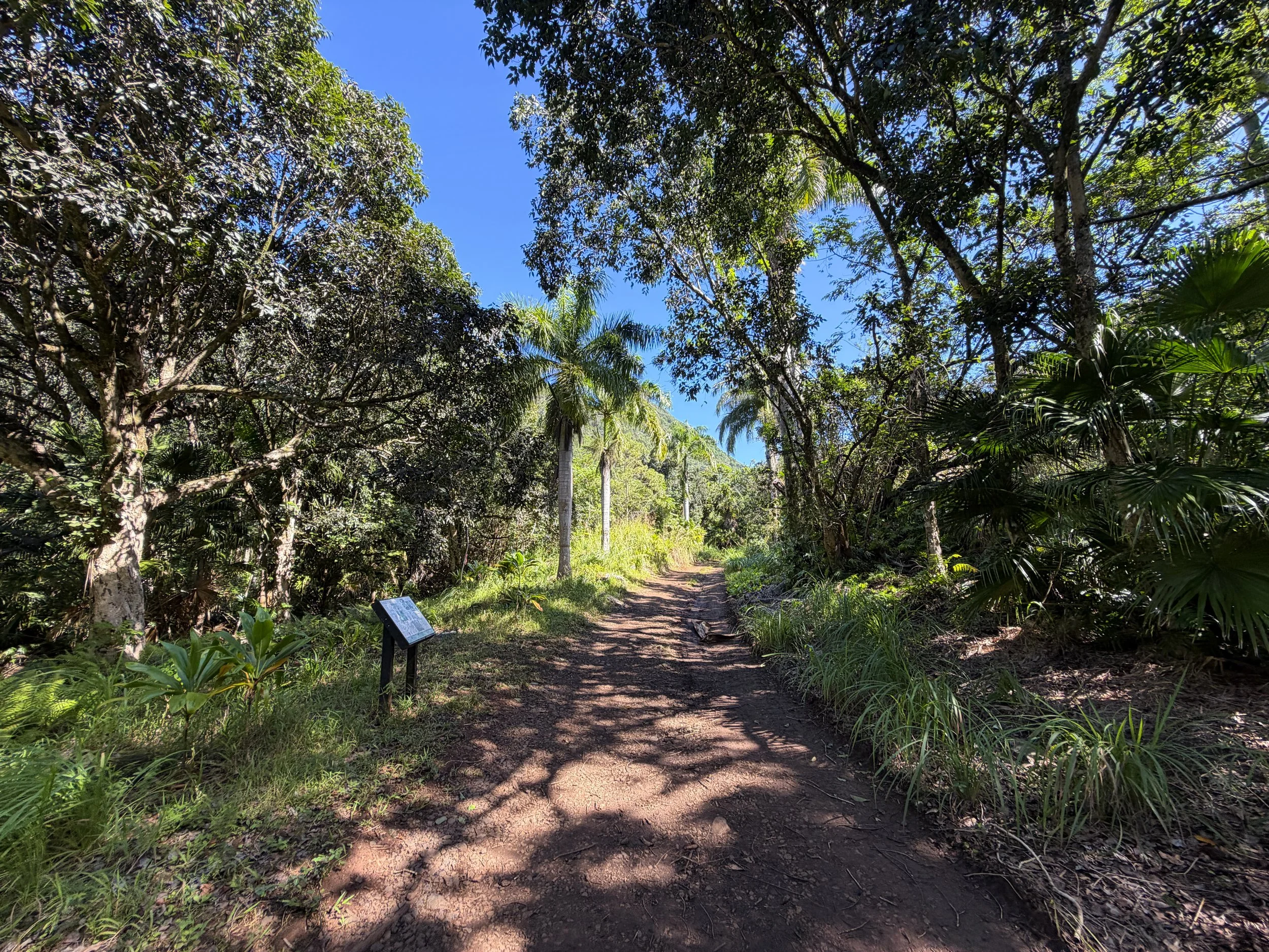 Tripler Ridge Trail via Moanalua Valley Oahu Hawaii