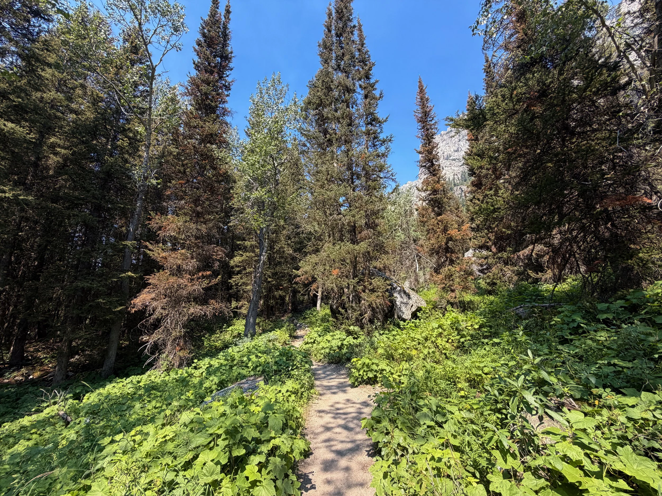 Cascade Canyon Trail Grand Teton National Park Wyoming