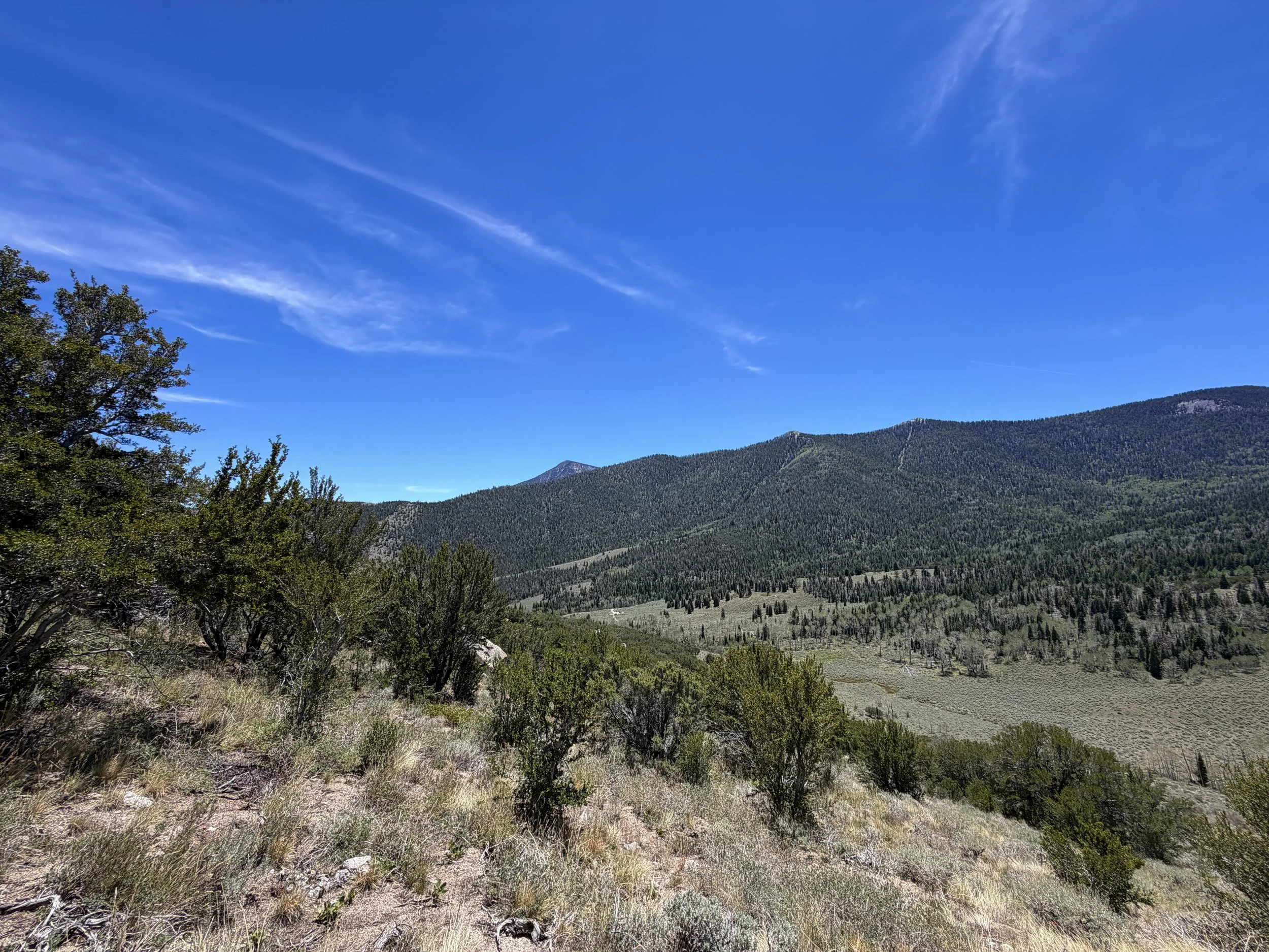Serviceberry Loop Trail Great Basin National Park Nevada