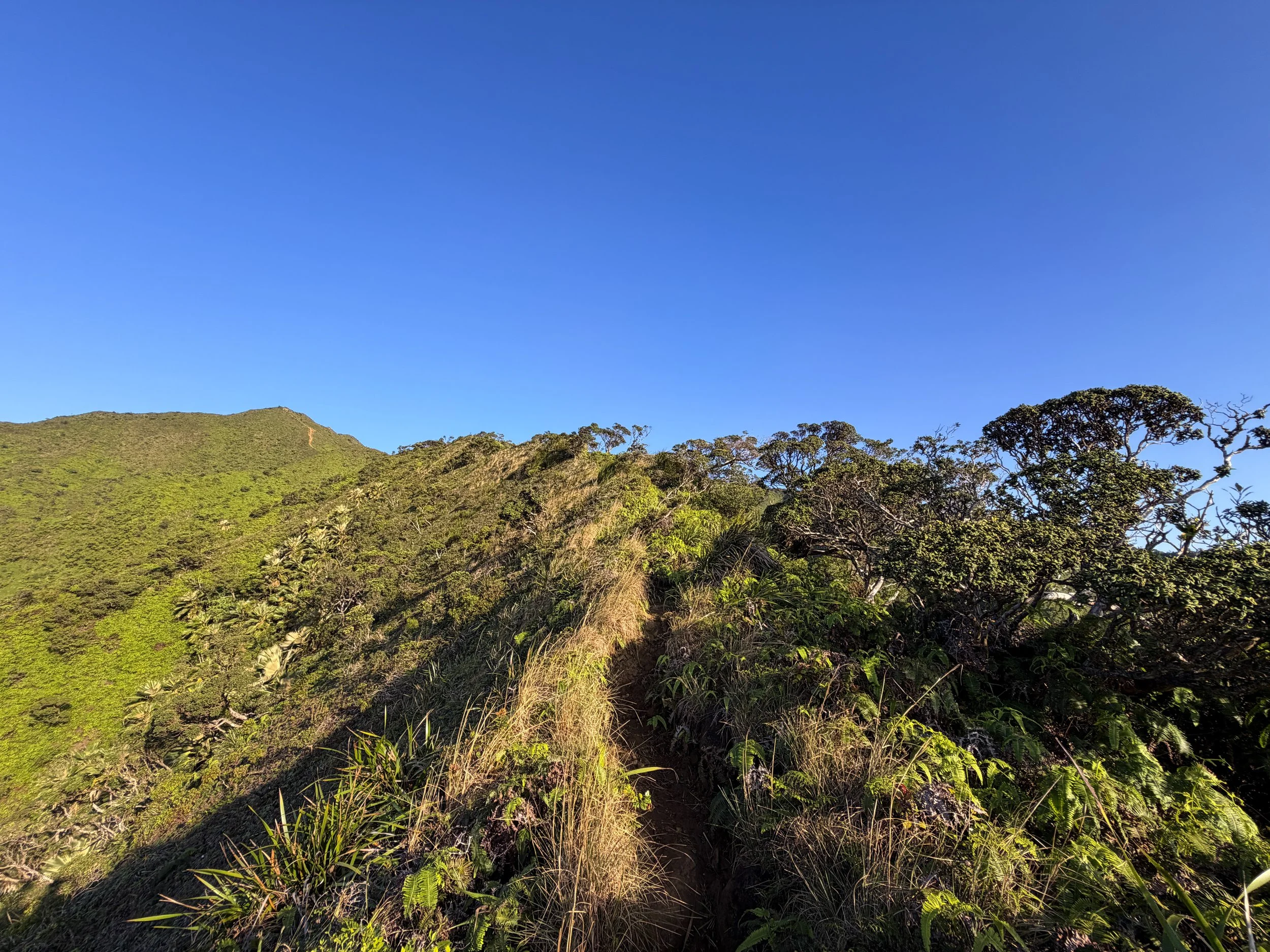 Moanalua Middle Ridge Trail to Stairway to Heaven Oahu Hawaii