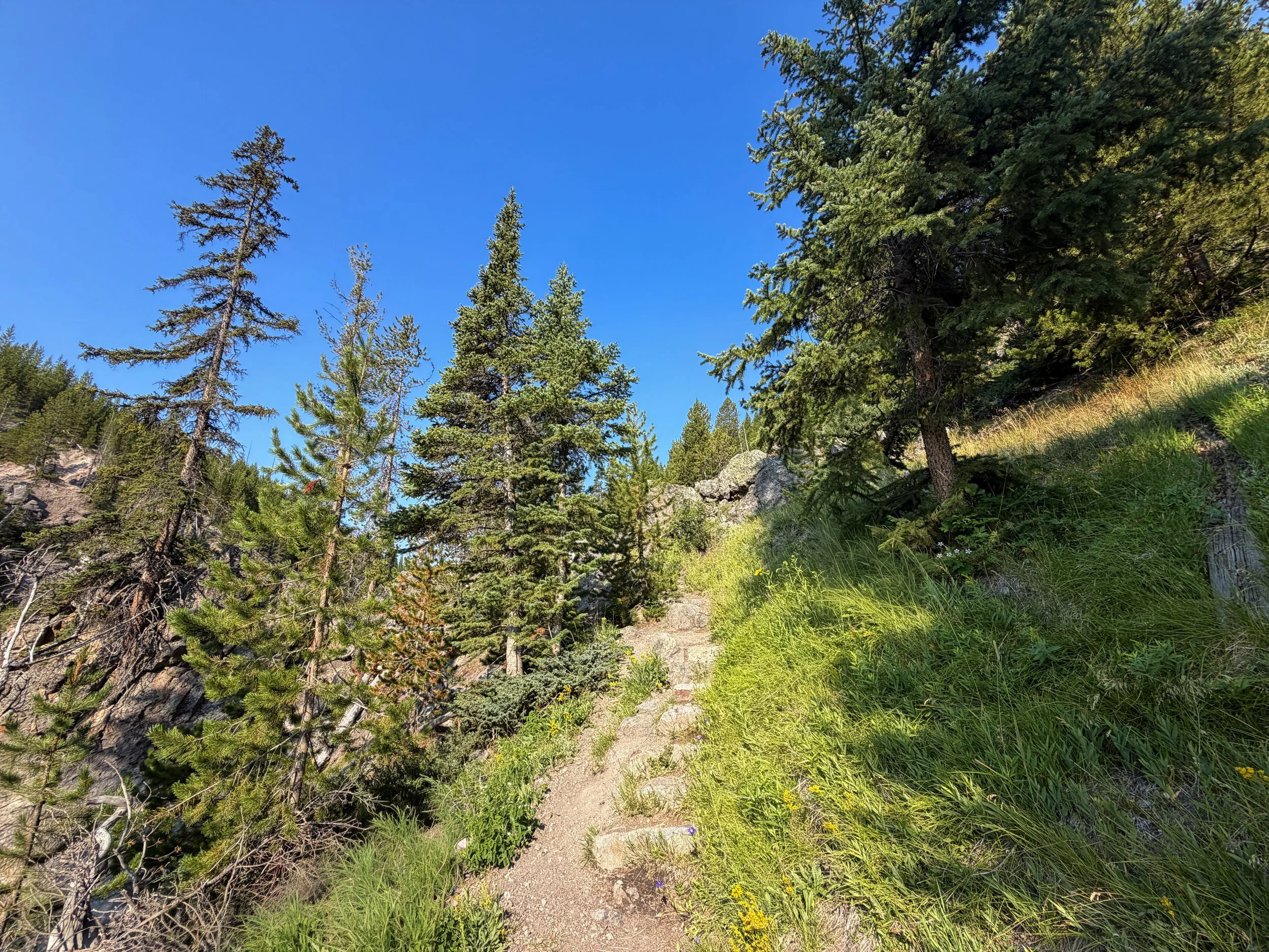 Mystic Falls Loop Hike Yellowstone National Park Wyoming
