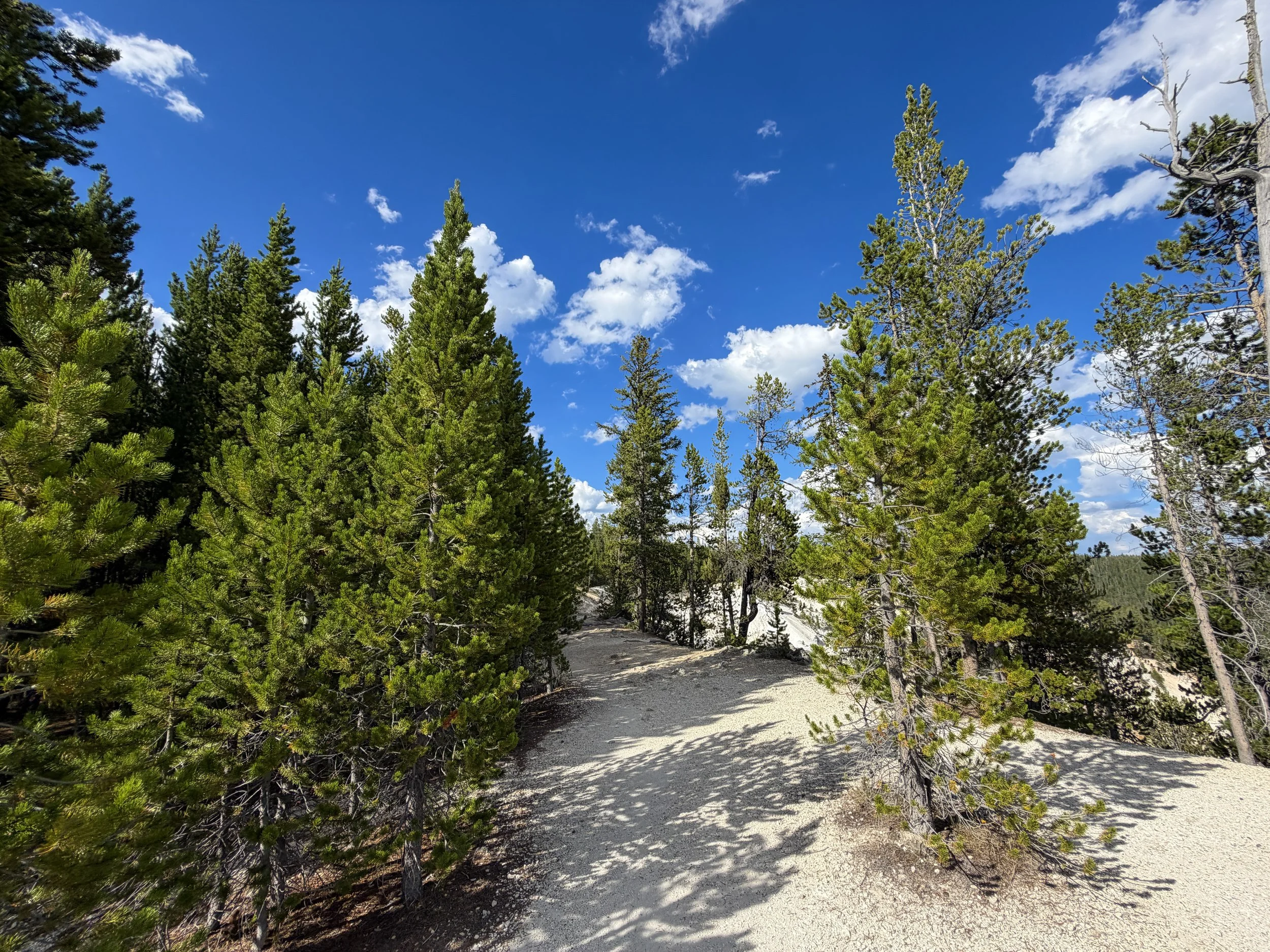 North Rim Trail Yellowstone National Park Wyoming