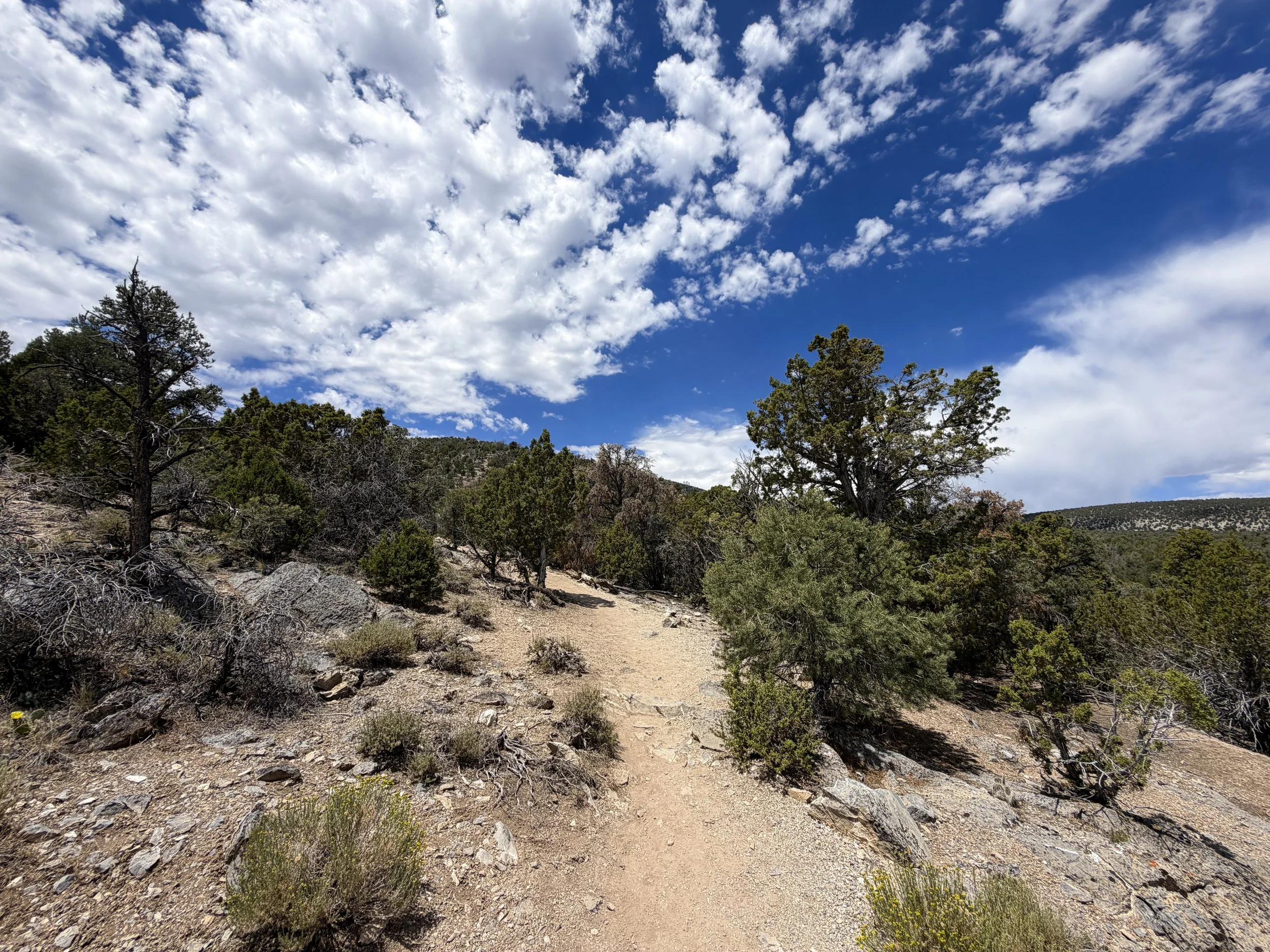 Mountain View Nature Trail Great Basin National Park Nevada