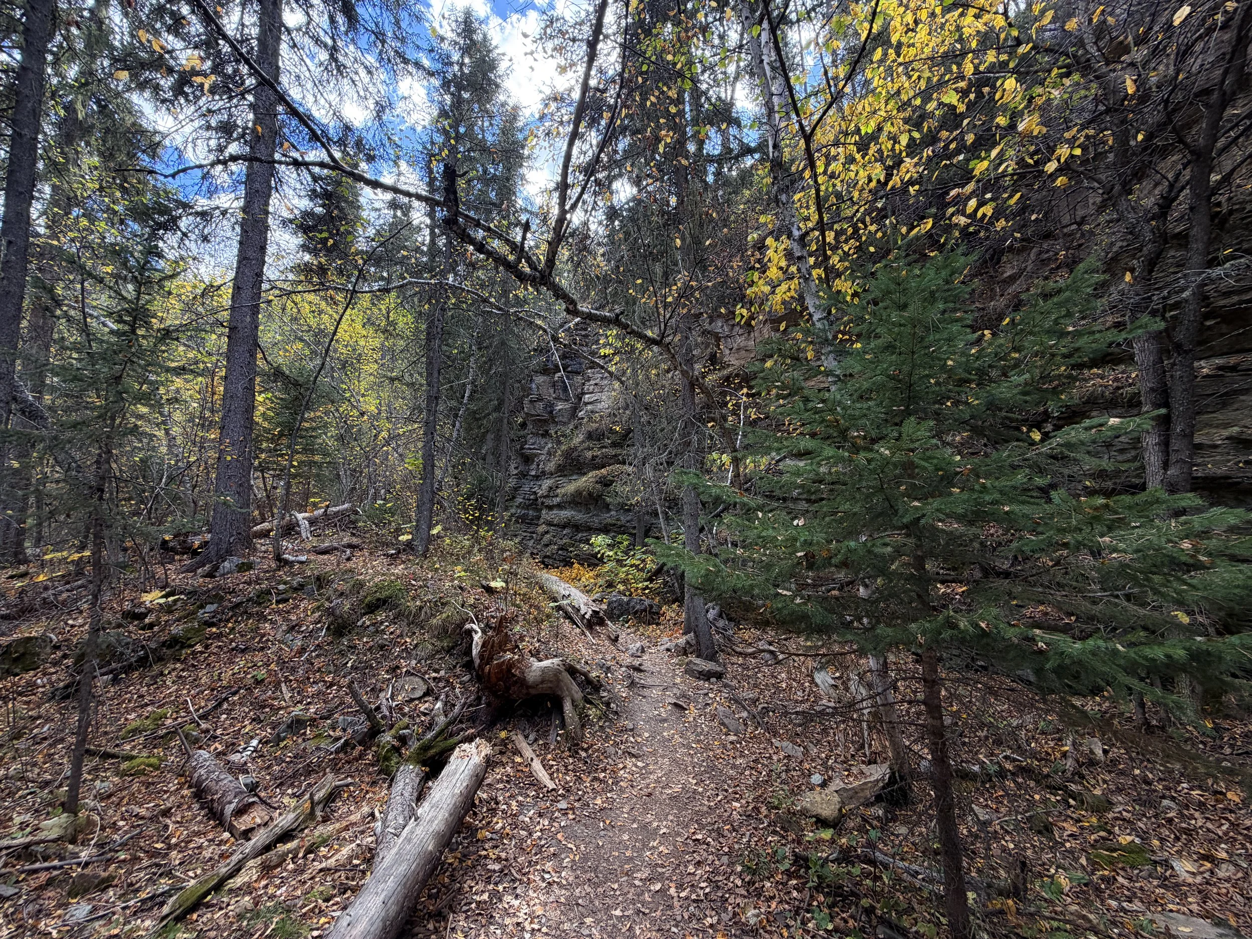 Devils Bathtub Trail Spearfish Canyon Black Hills South Dakota