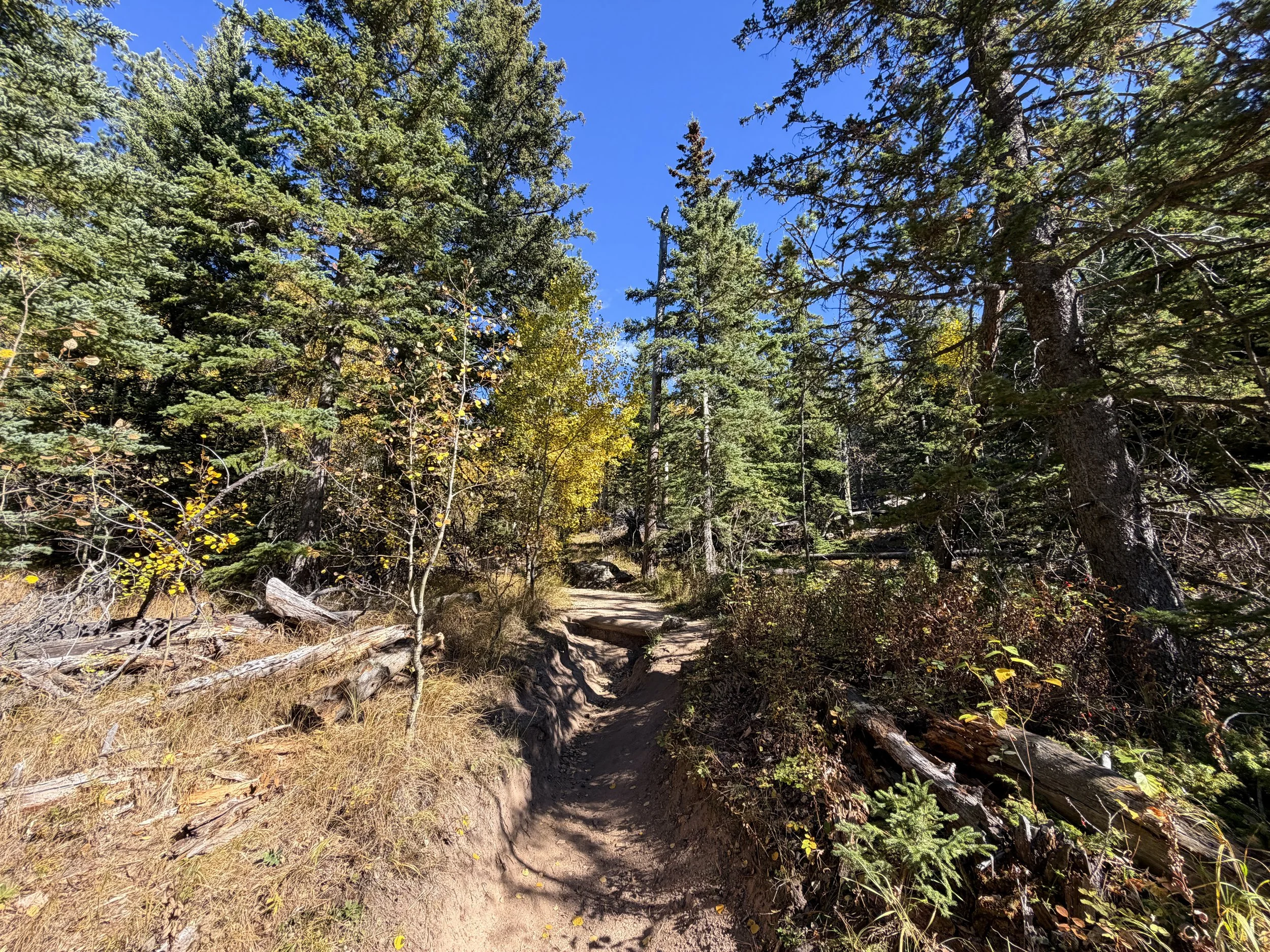 Black Elk Peak Trail via Custer State Park Black Hills South Dakota