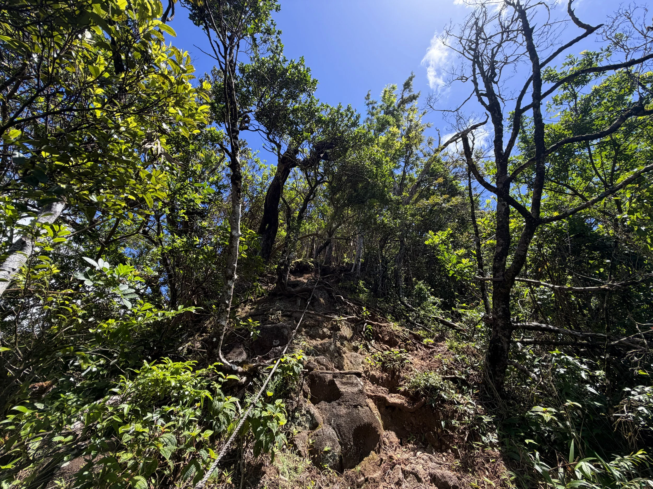 Moanalua Valley to Tripler Ridge Trail Ropes Oahu Hawaii