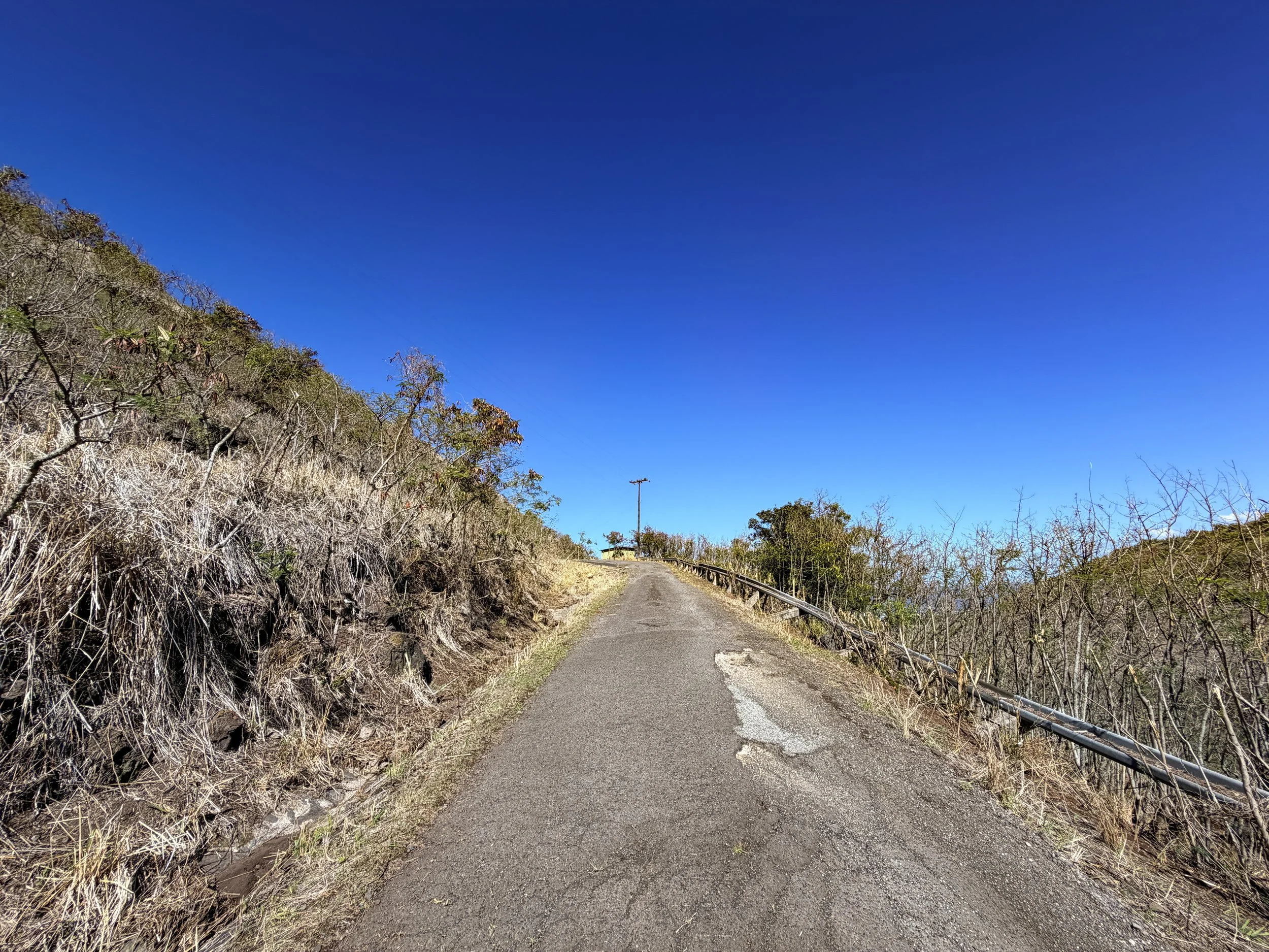 Mokuleia Forest Reserve Access Road Oahu Hawaii