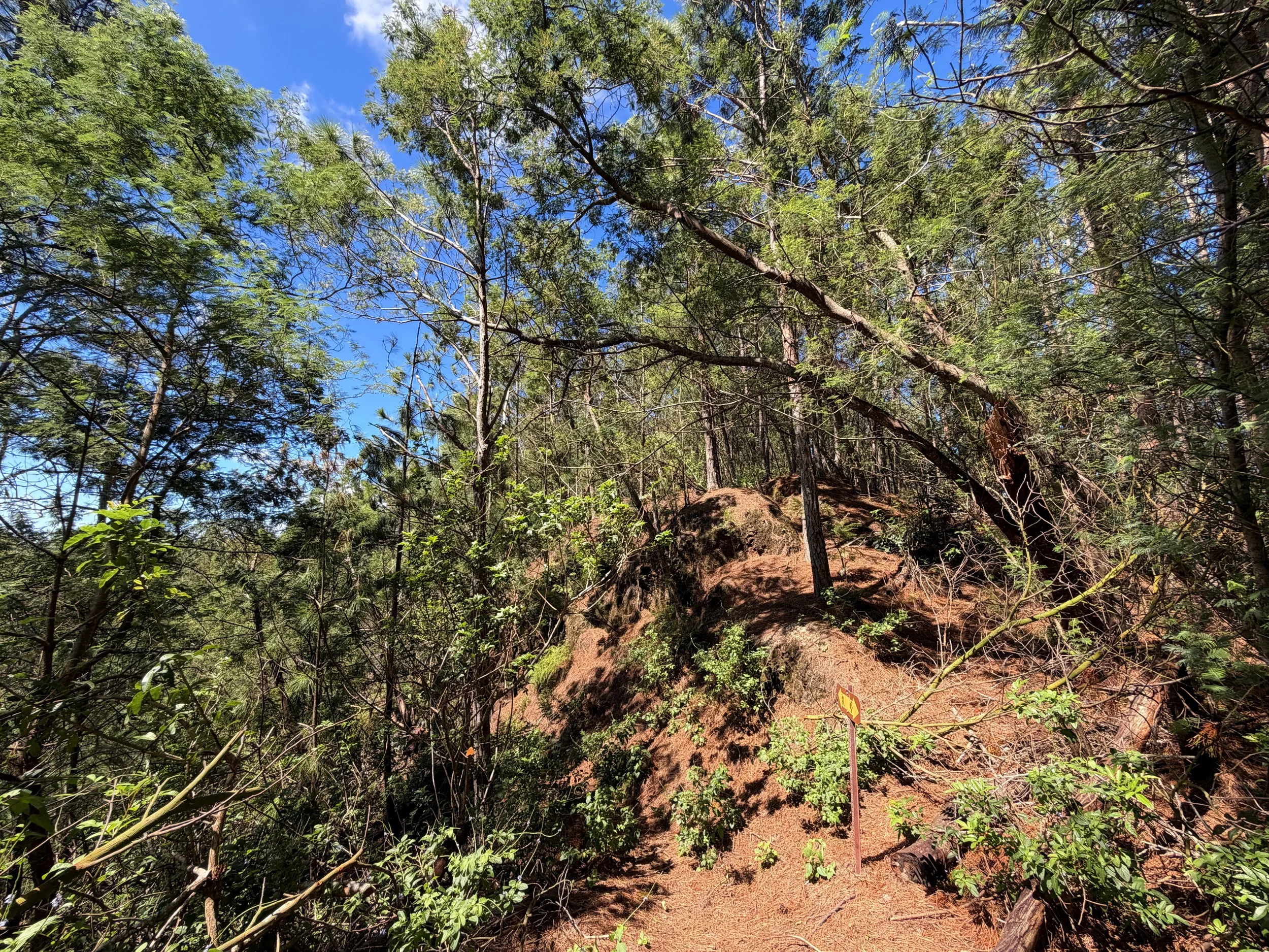 Kuaokala Trail Oahu Hawaii