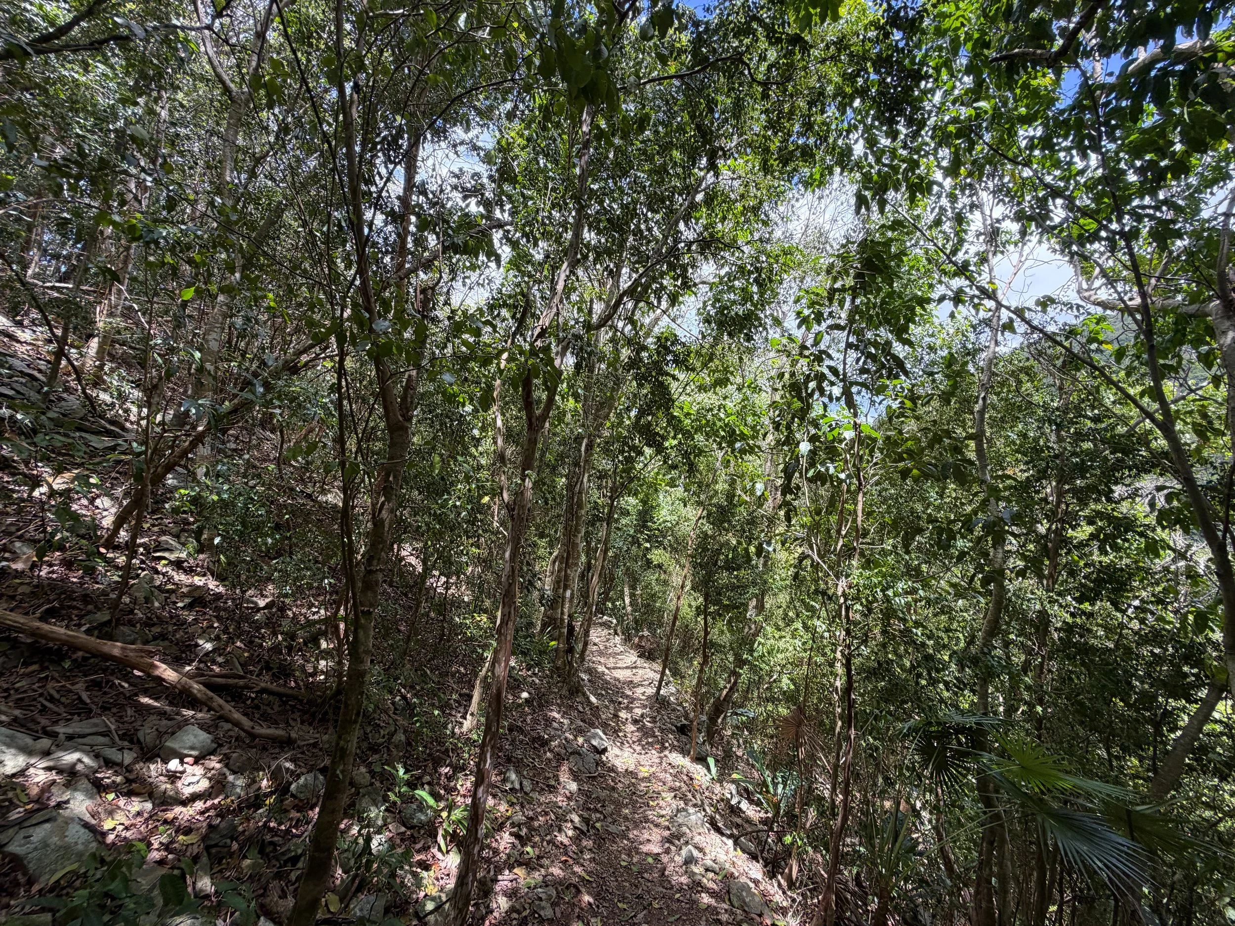 Maria Hope Hike Virgin Islands National Park
